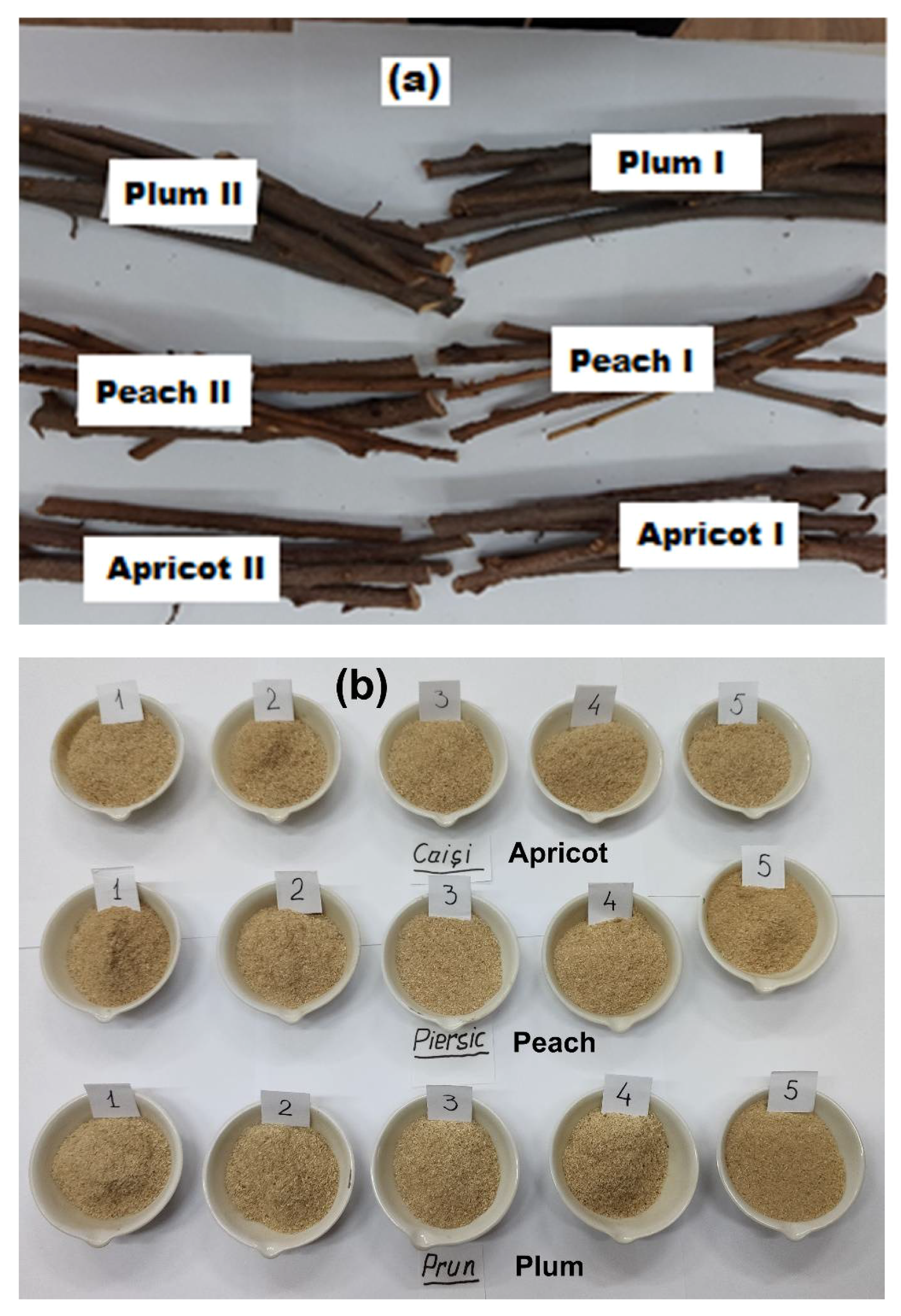 Forests 13 00405 g001