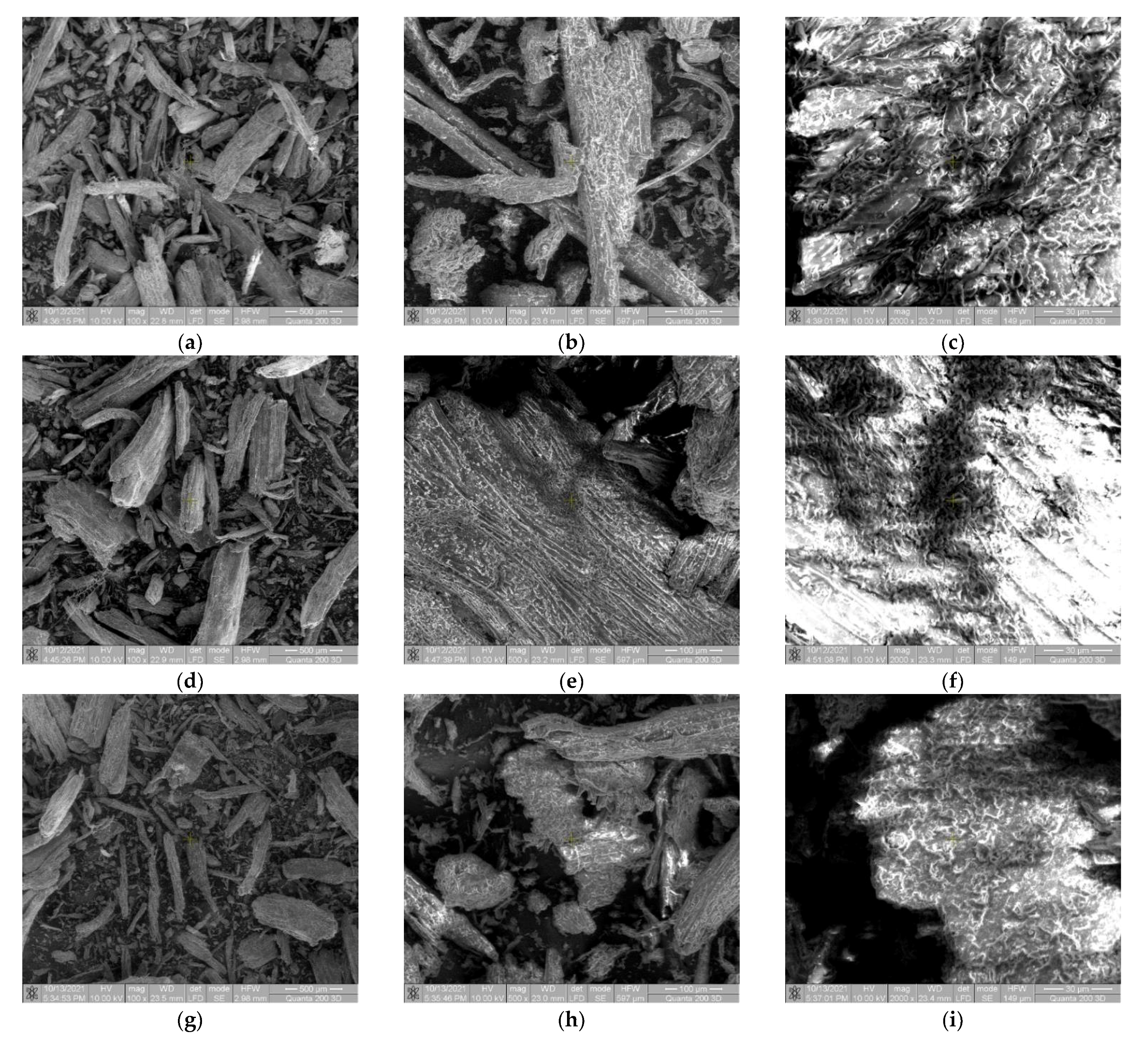 Forests 13 00405 g002