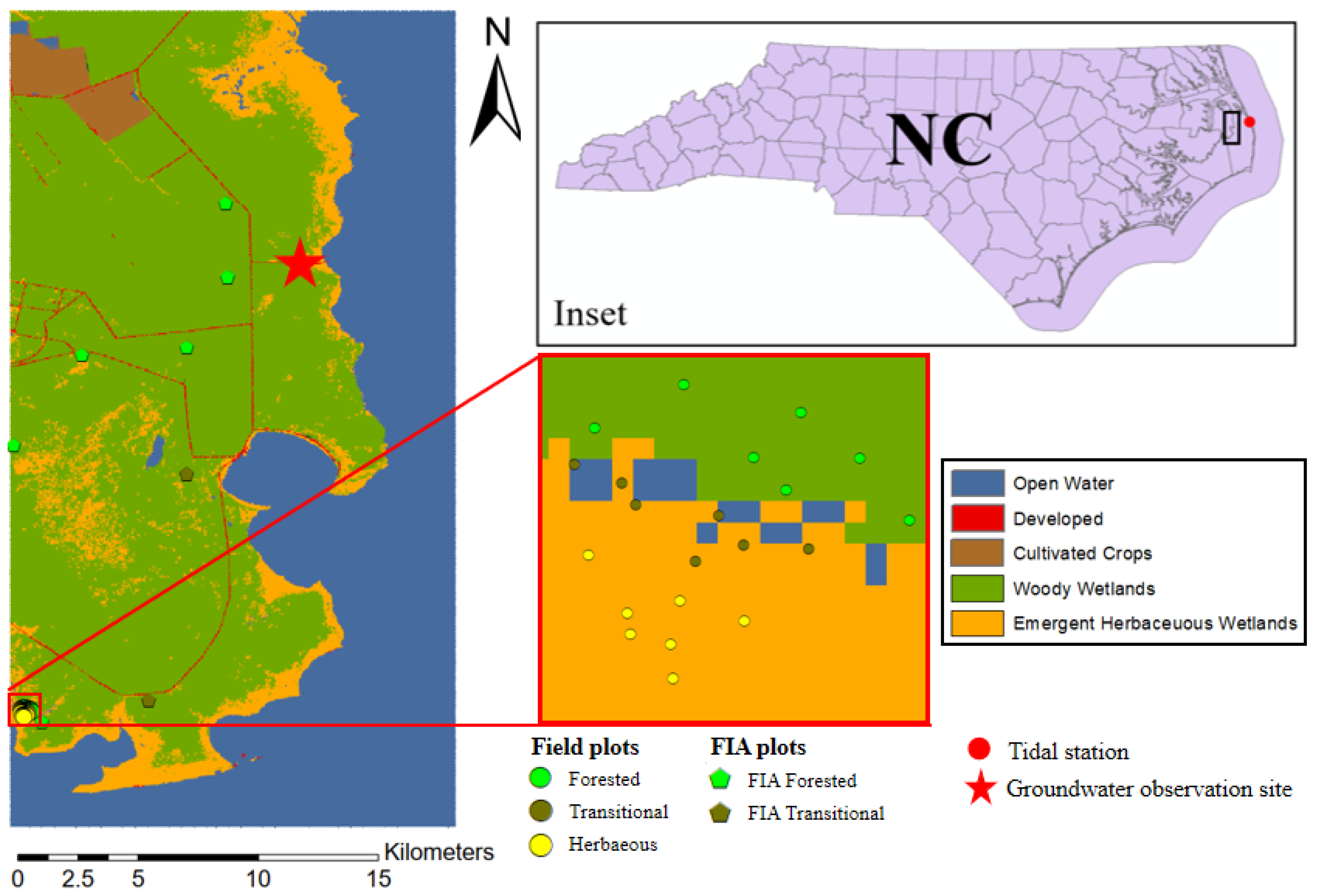 Forests 13 00411 g001
