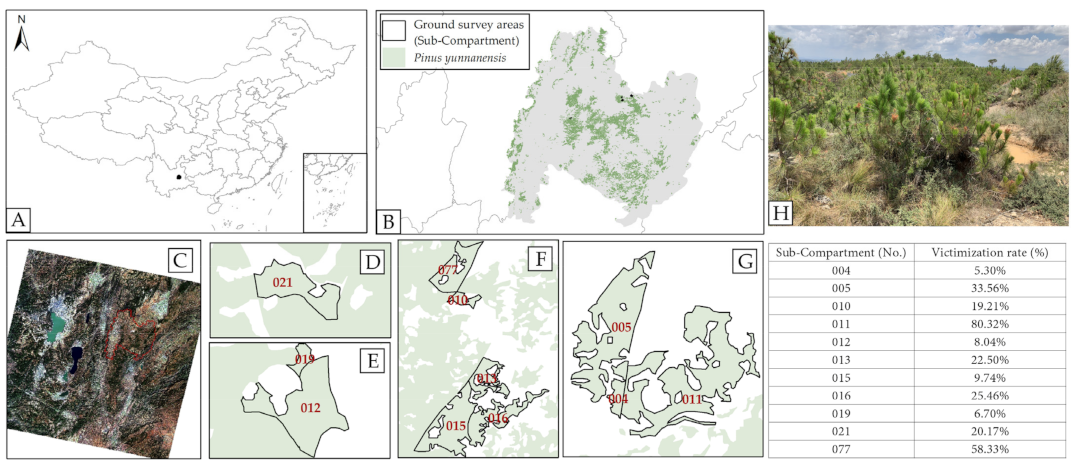 Forests 13 00412 g001