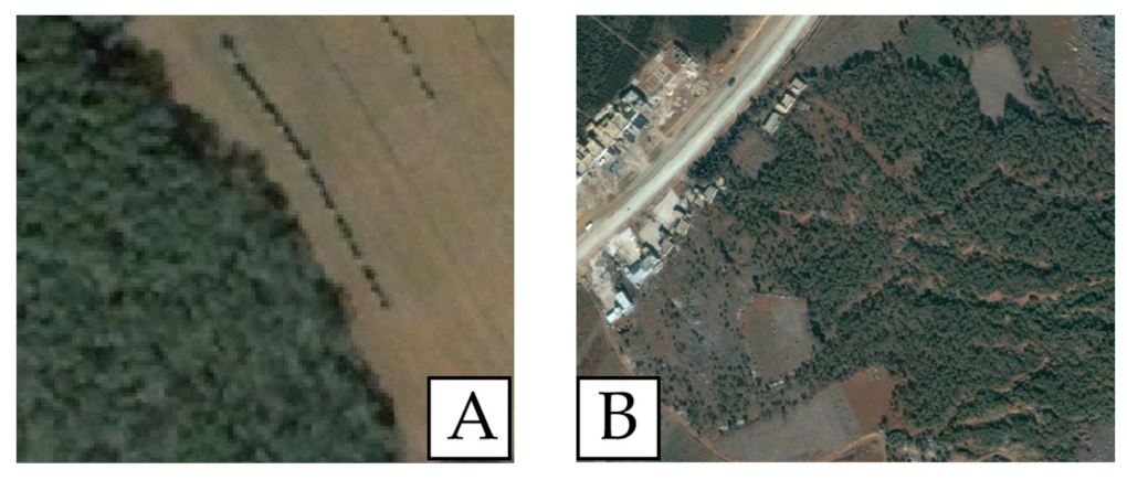 Forests 13 00412 g014