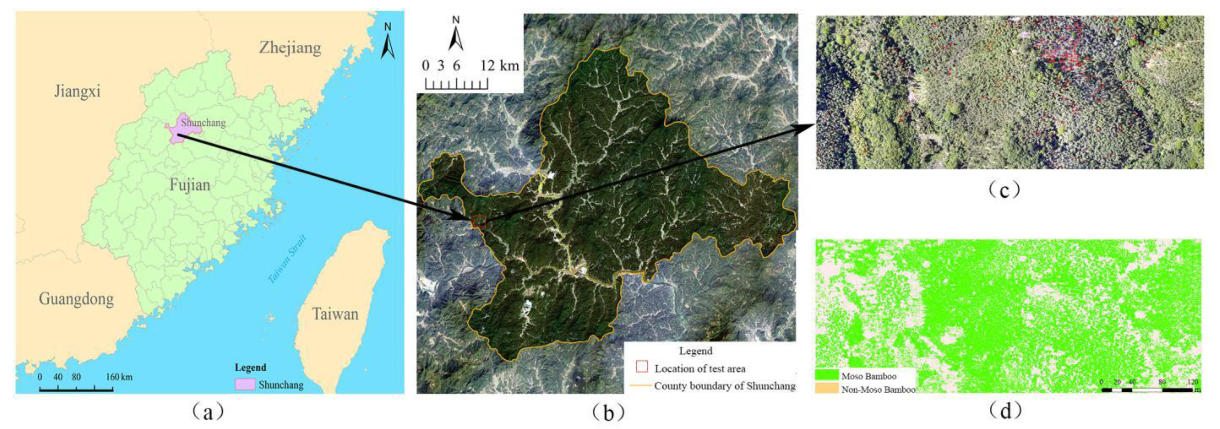 Forests 13 00418 g001