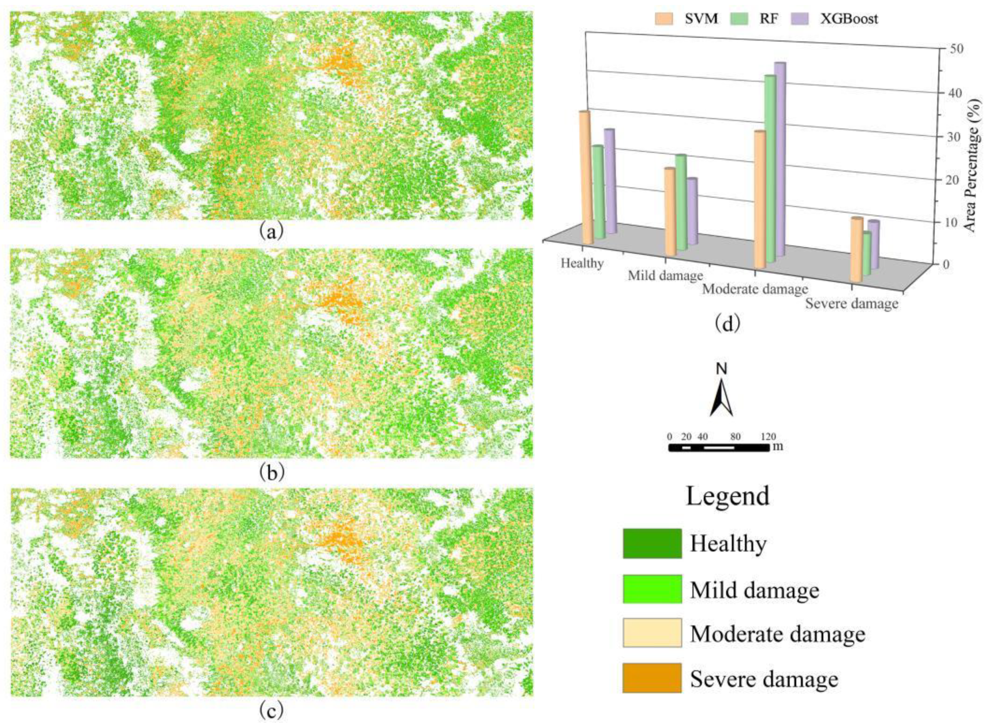 Forests 13 00418 g006