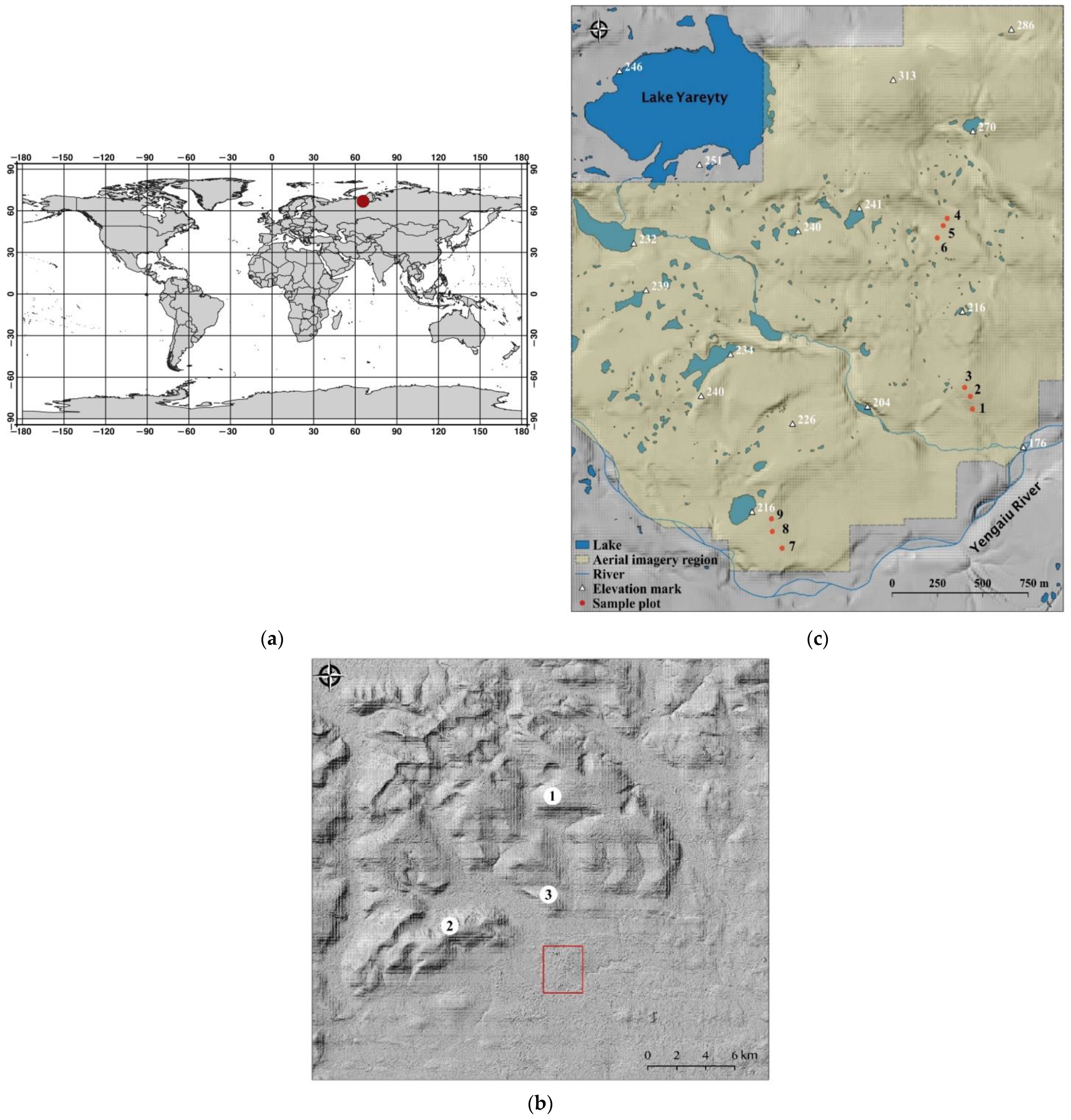 Forests 13 00419 g001