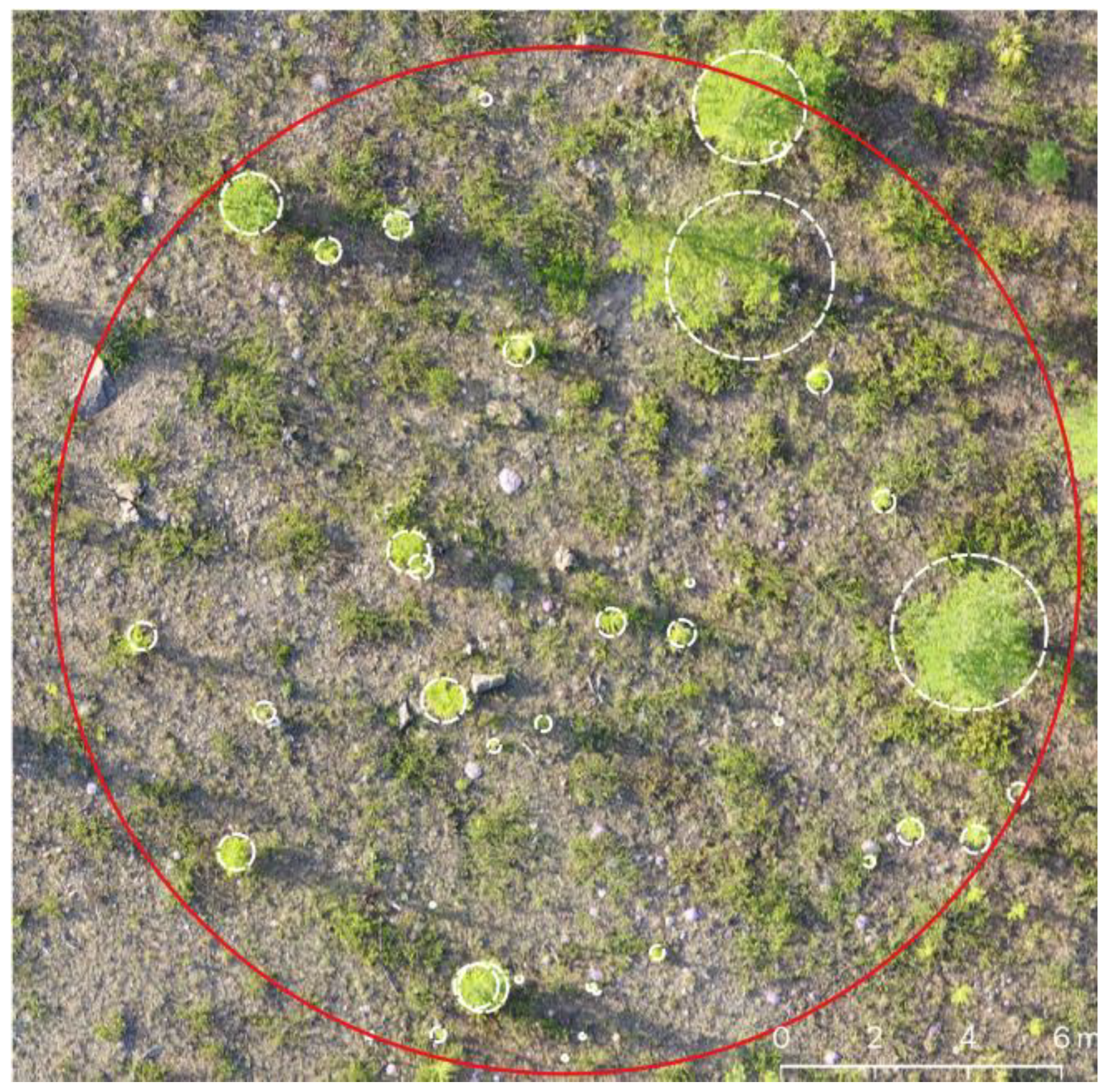 Forests 13 00419 g002