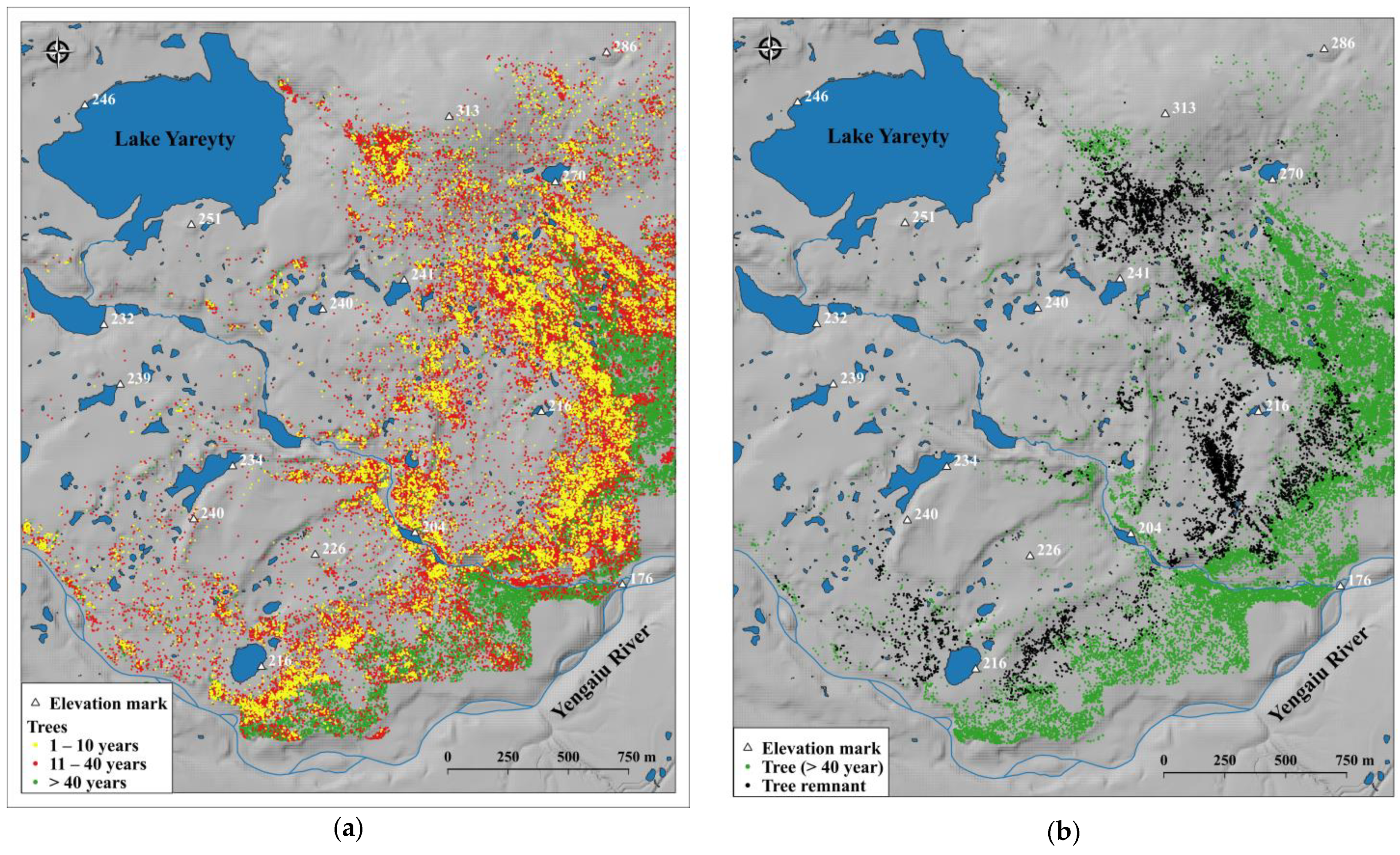 Forests 13 00419 g005