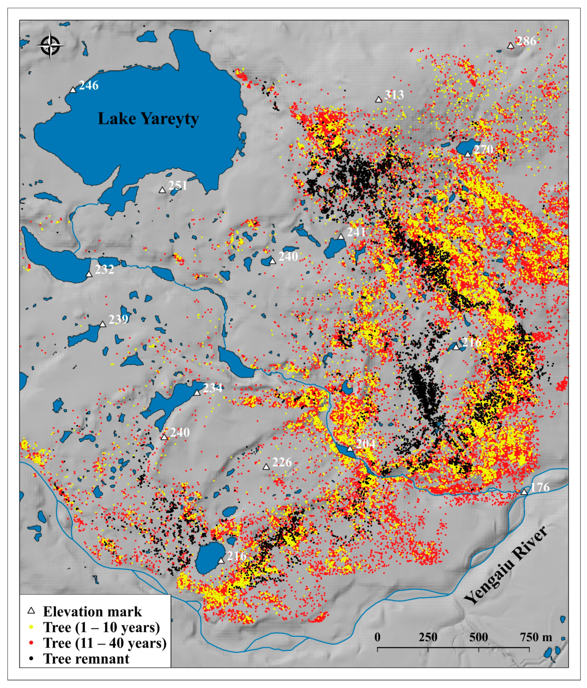 Forests 13 00419 g006