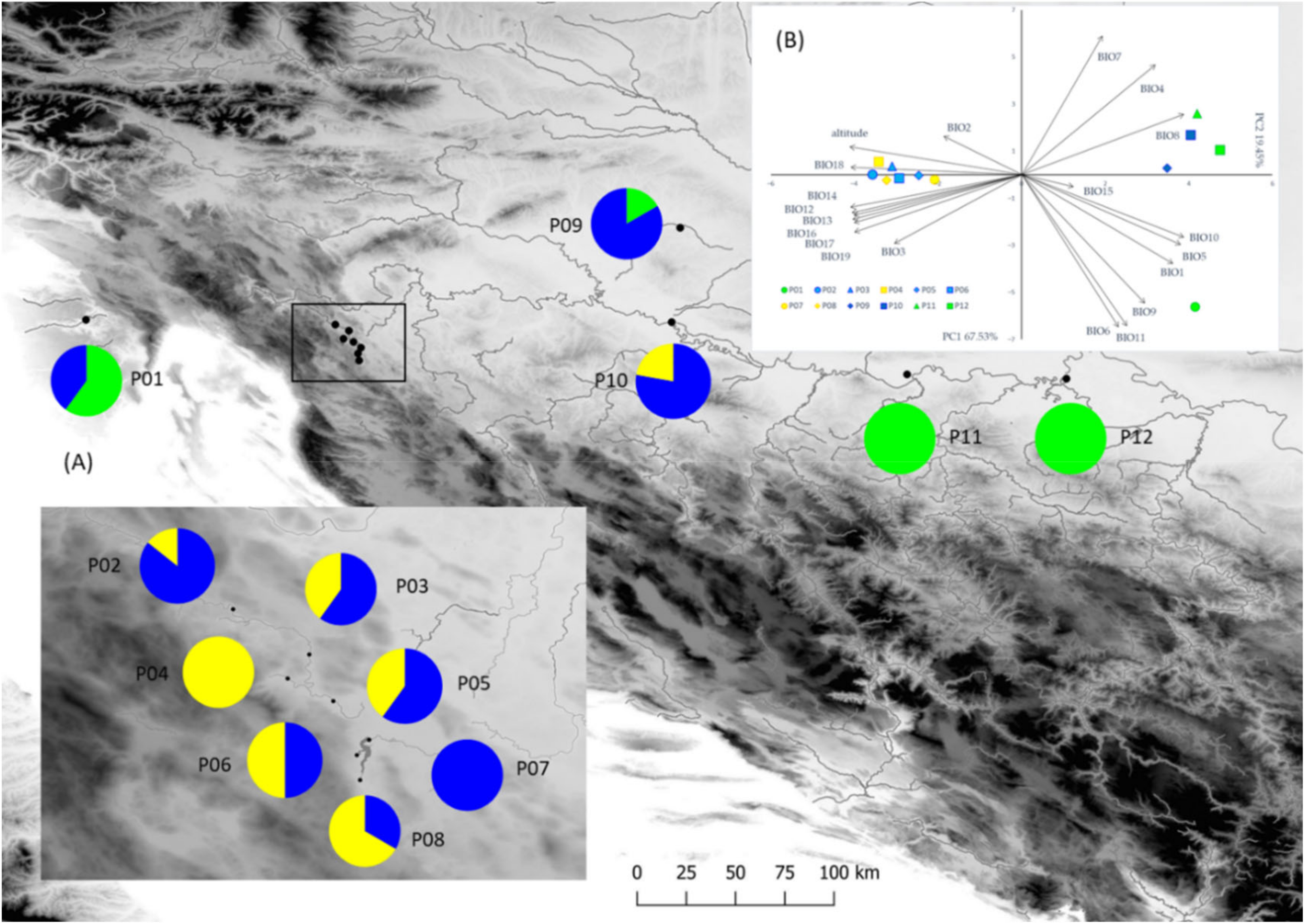 Forests 13 00420 g001