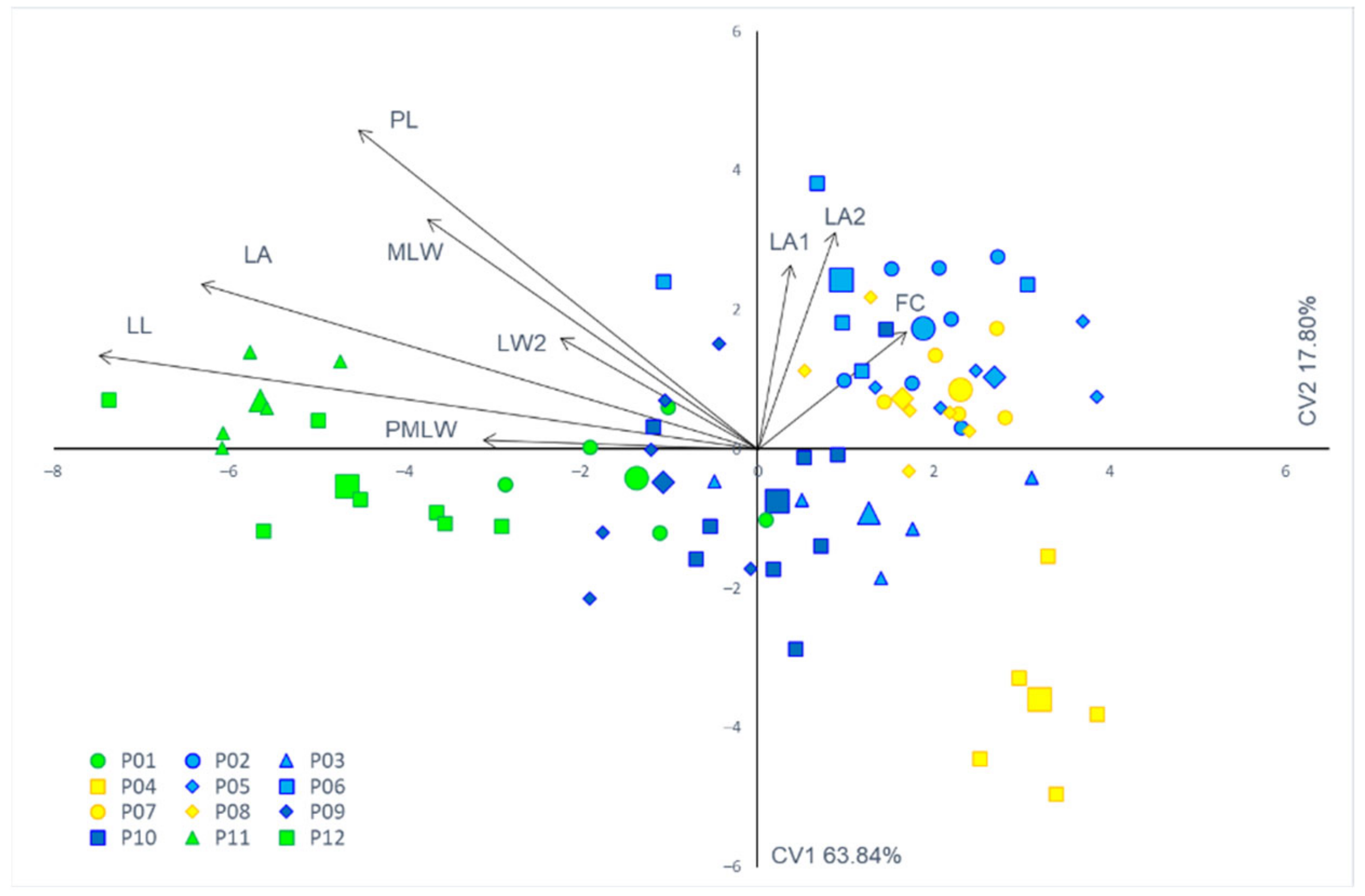 Forests 13 00420 g004