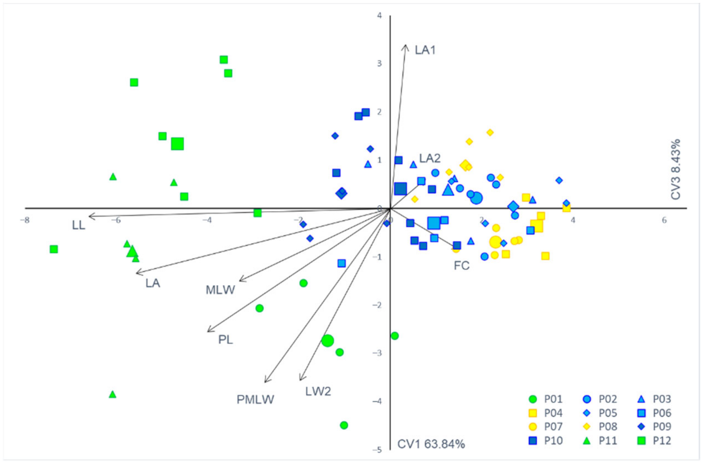 Forests 13 00420 g005
