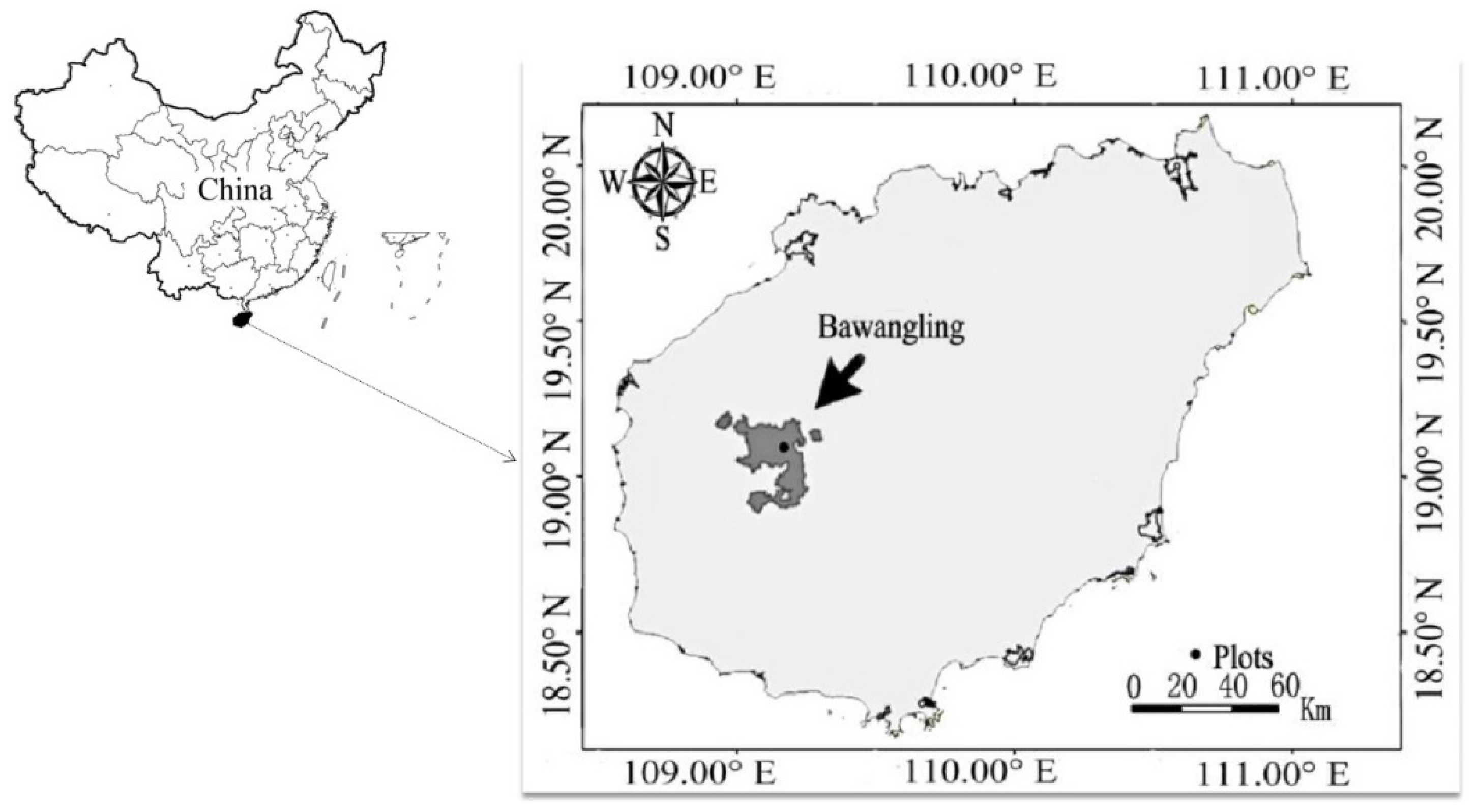 Forests 13 00421 g001
