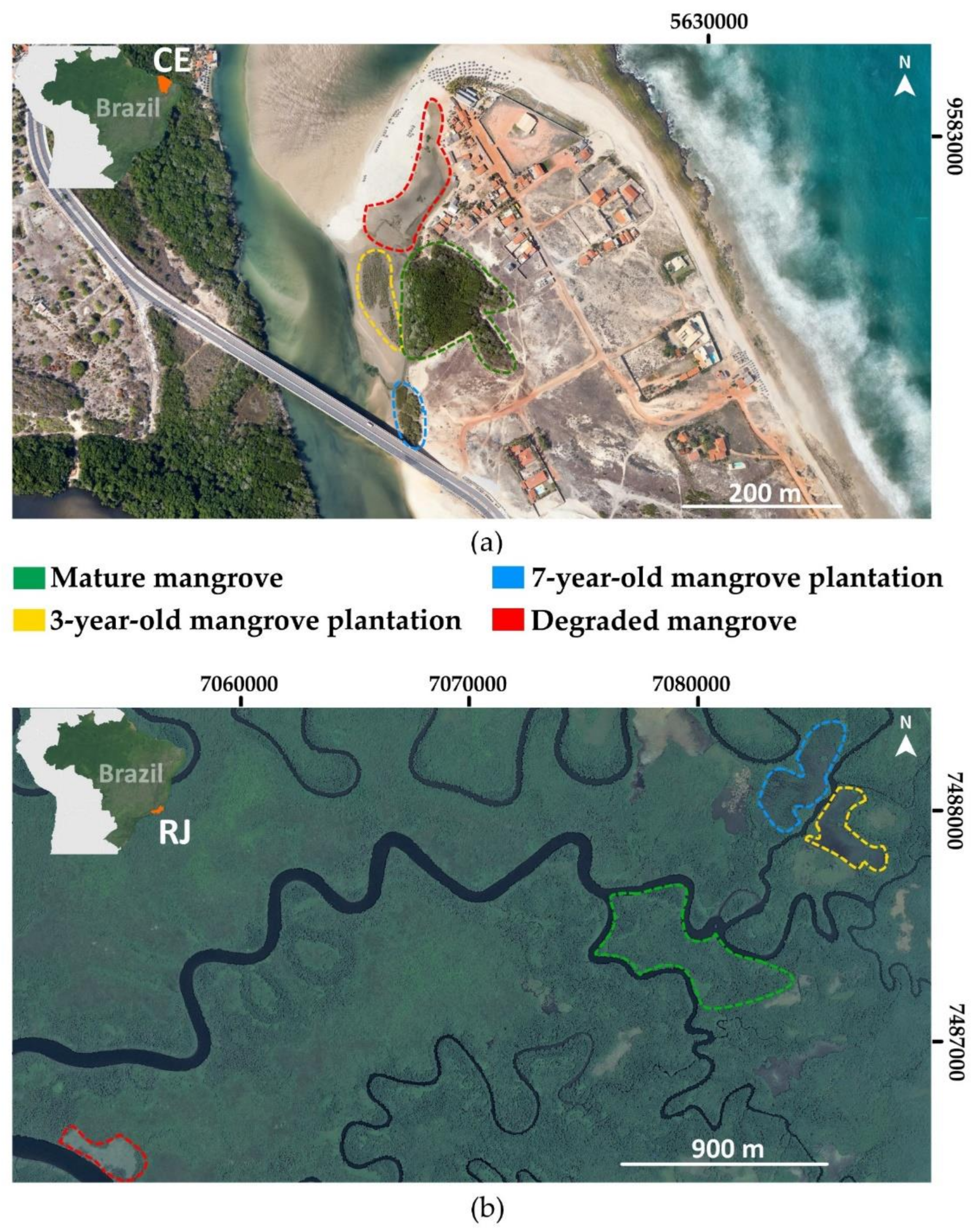 Forests 13 00422 g001