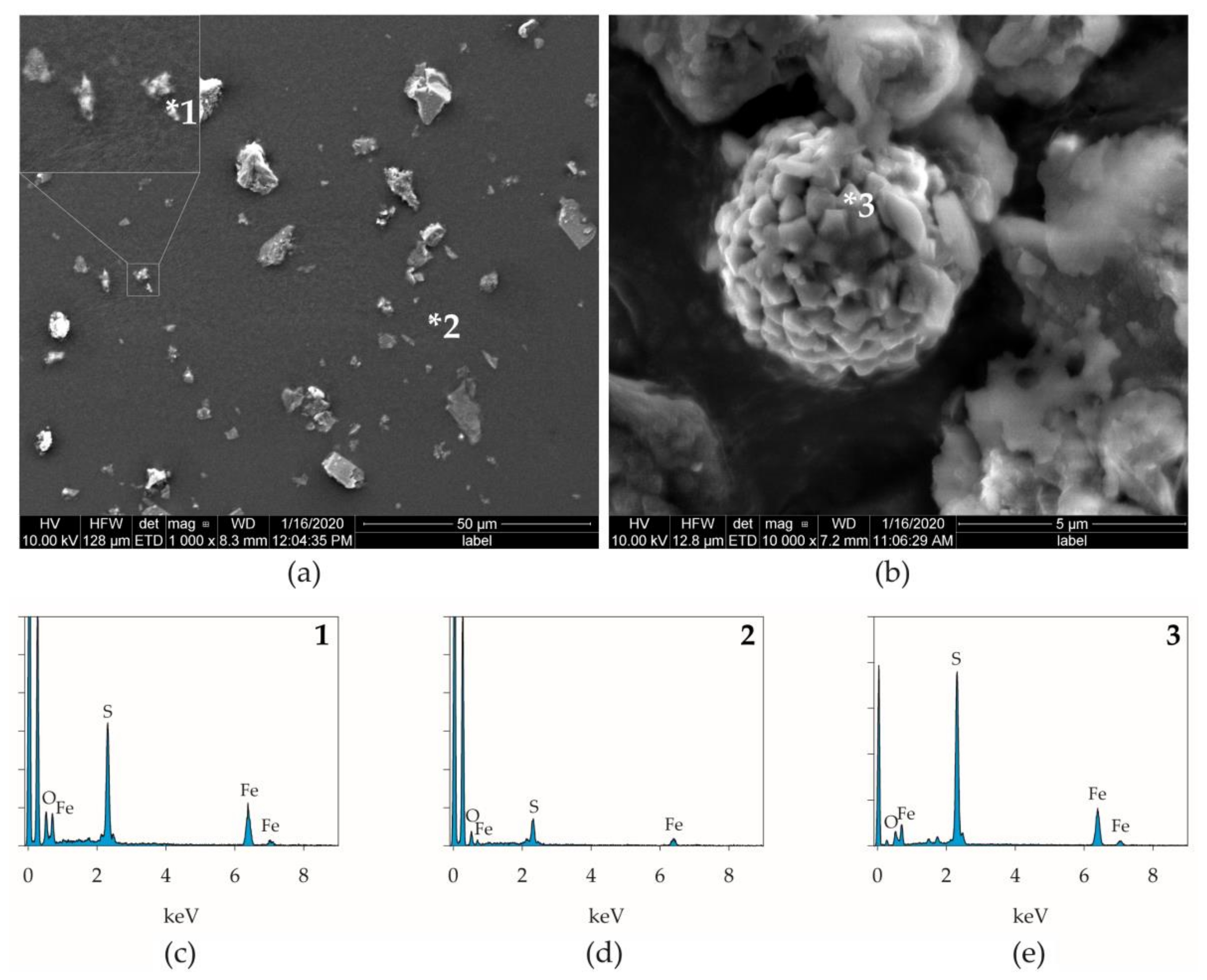 Forests 13 00422 g007