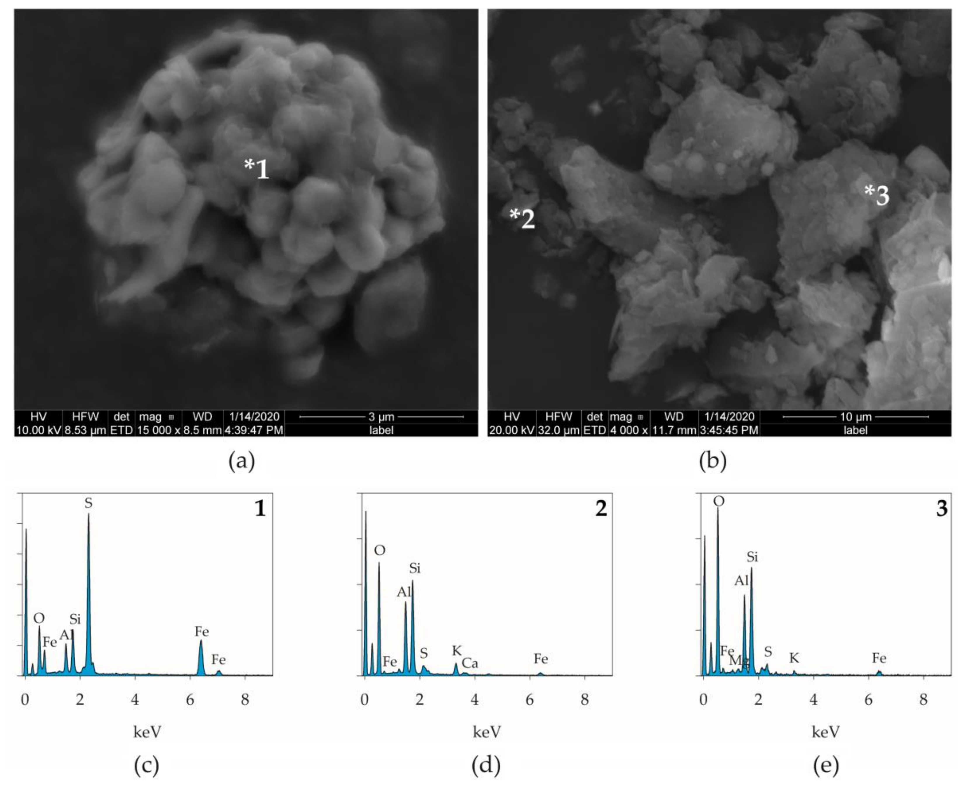 Forests 13 00422 g008