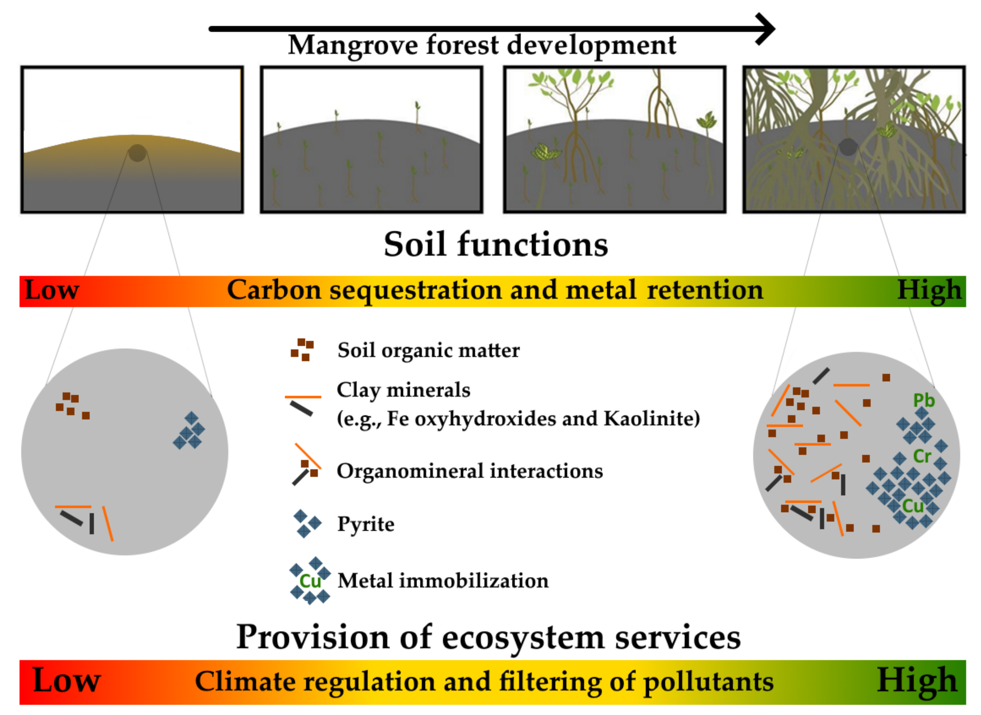 Forests 13 00422 g010