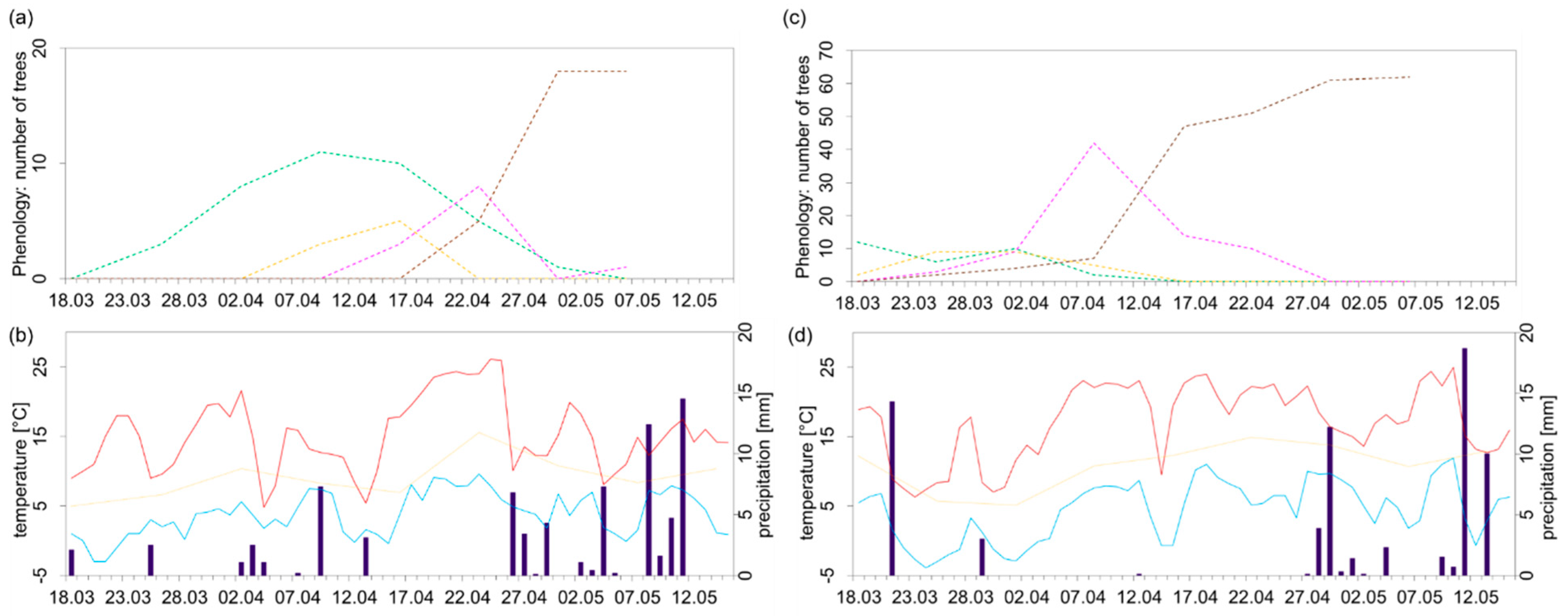 Forests 13 00424 g004 Forests 13 00424 g004