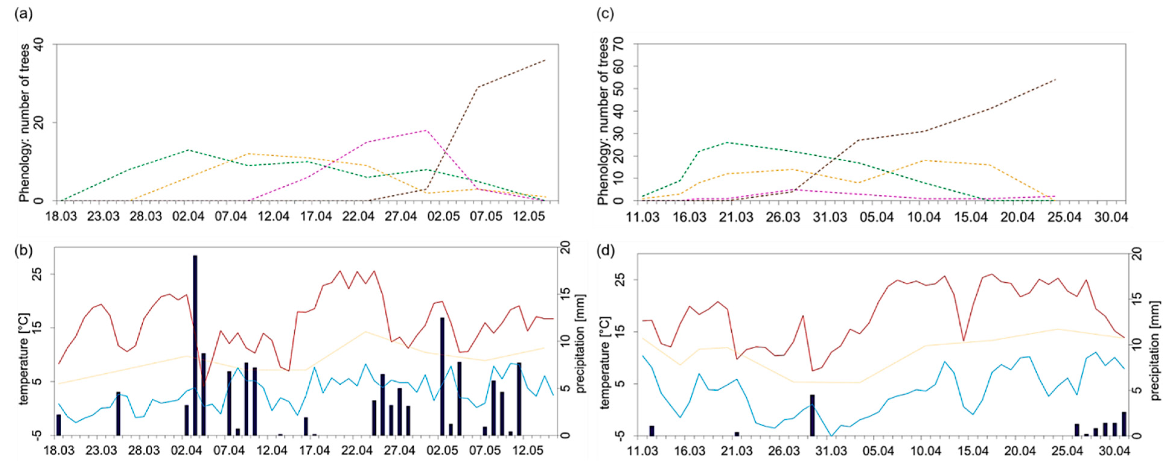 Forests 13 00424 g008 Forests 13 00424 g008