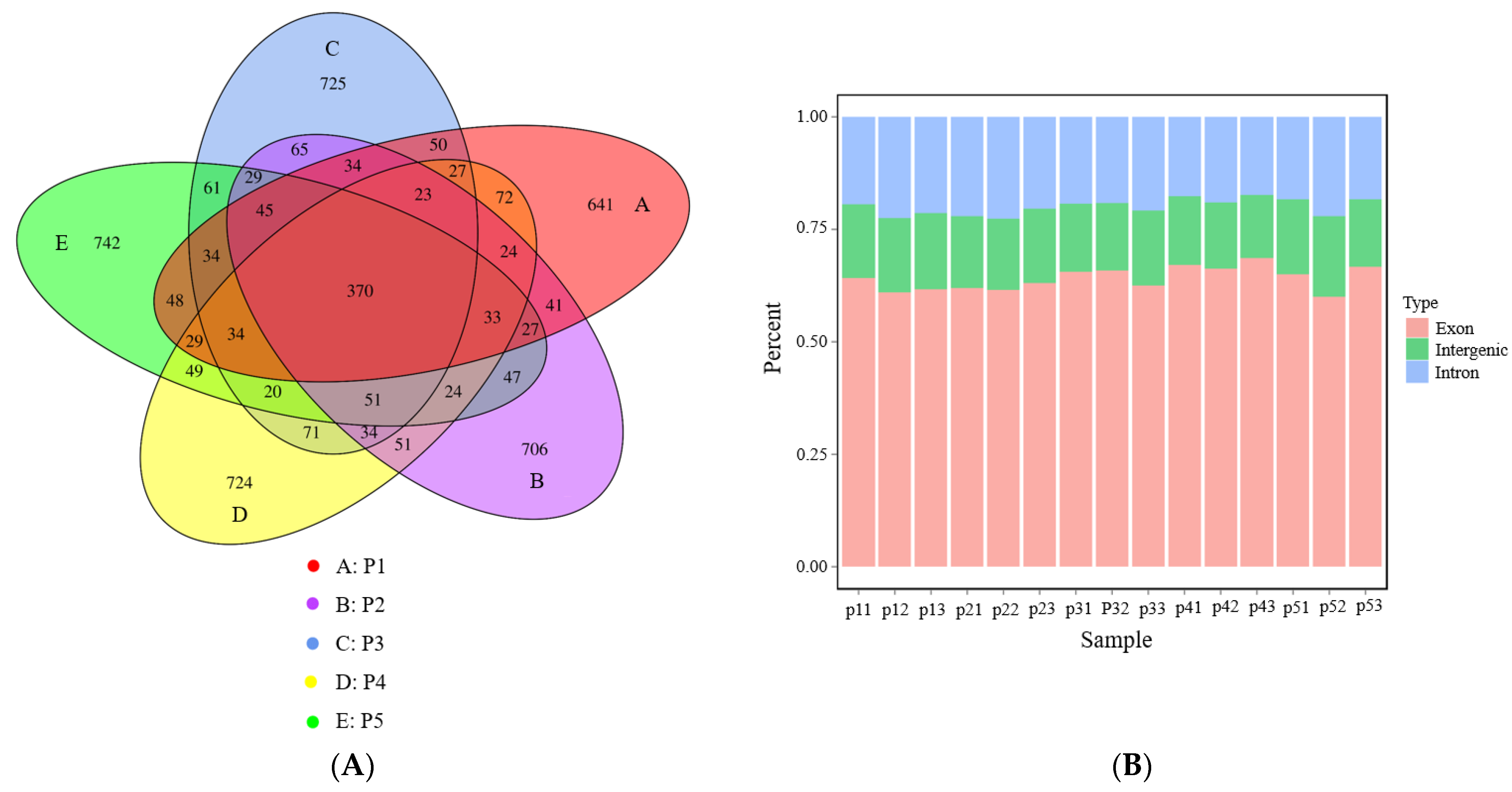 Forests 13 00426 g001a