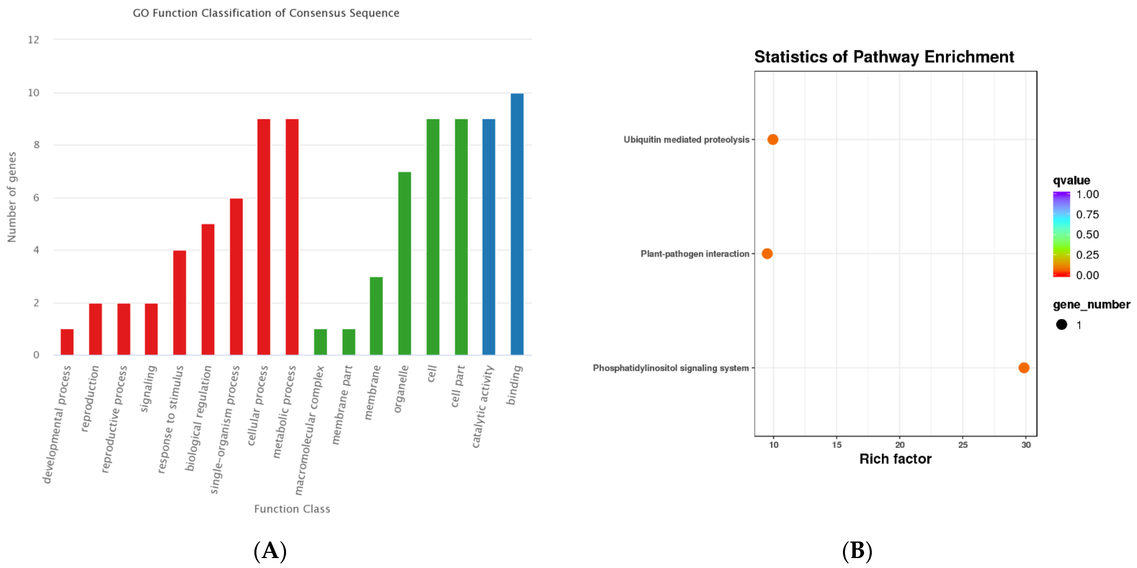Forests 13 00426 g003