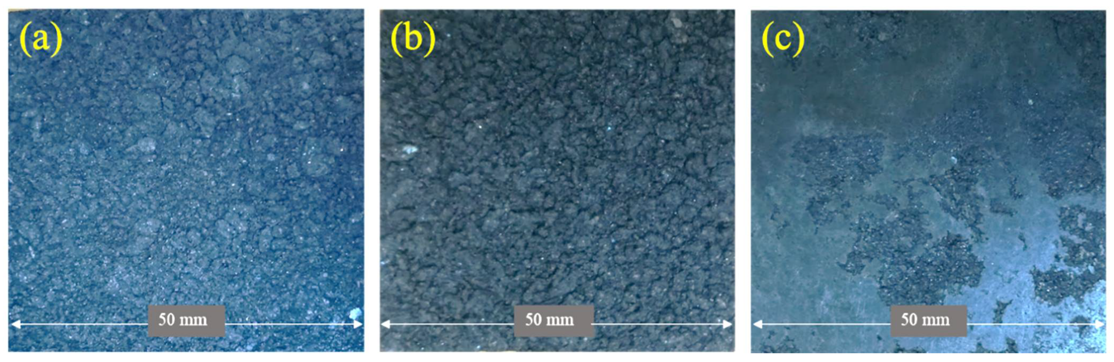 Forests 13 00427 g002