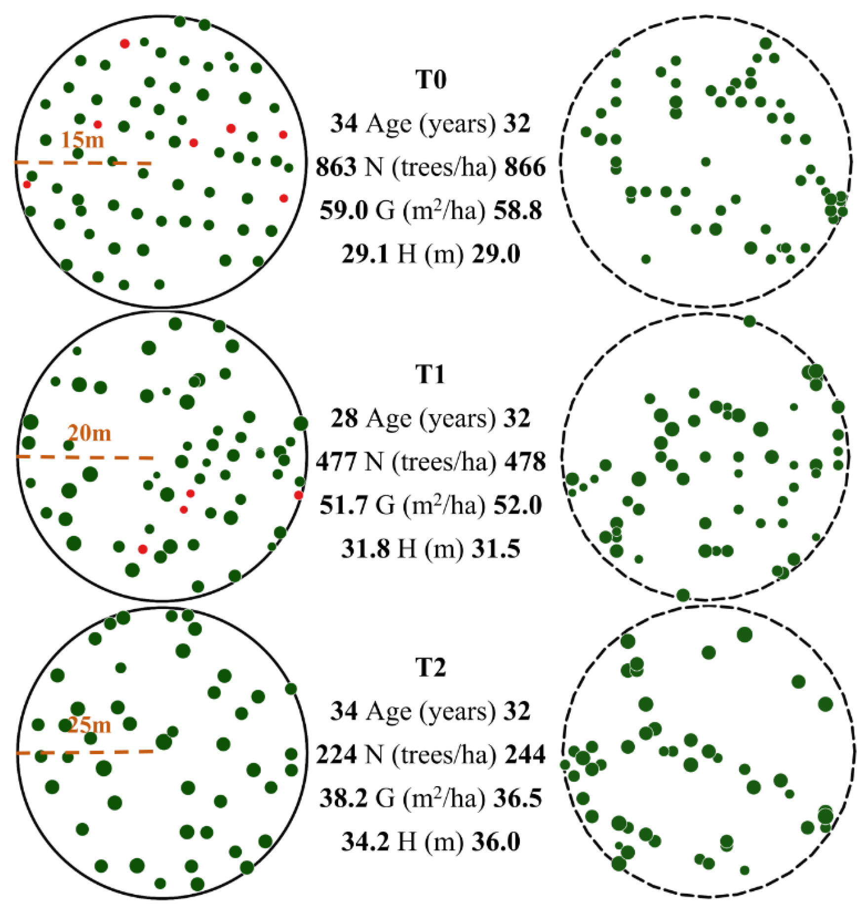 Forests 13 00428 g002