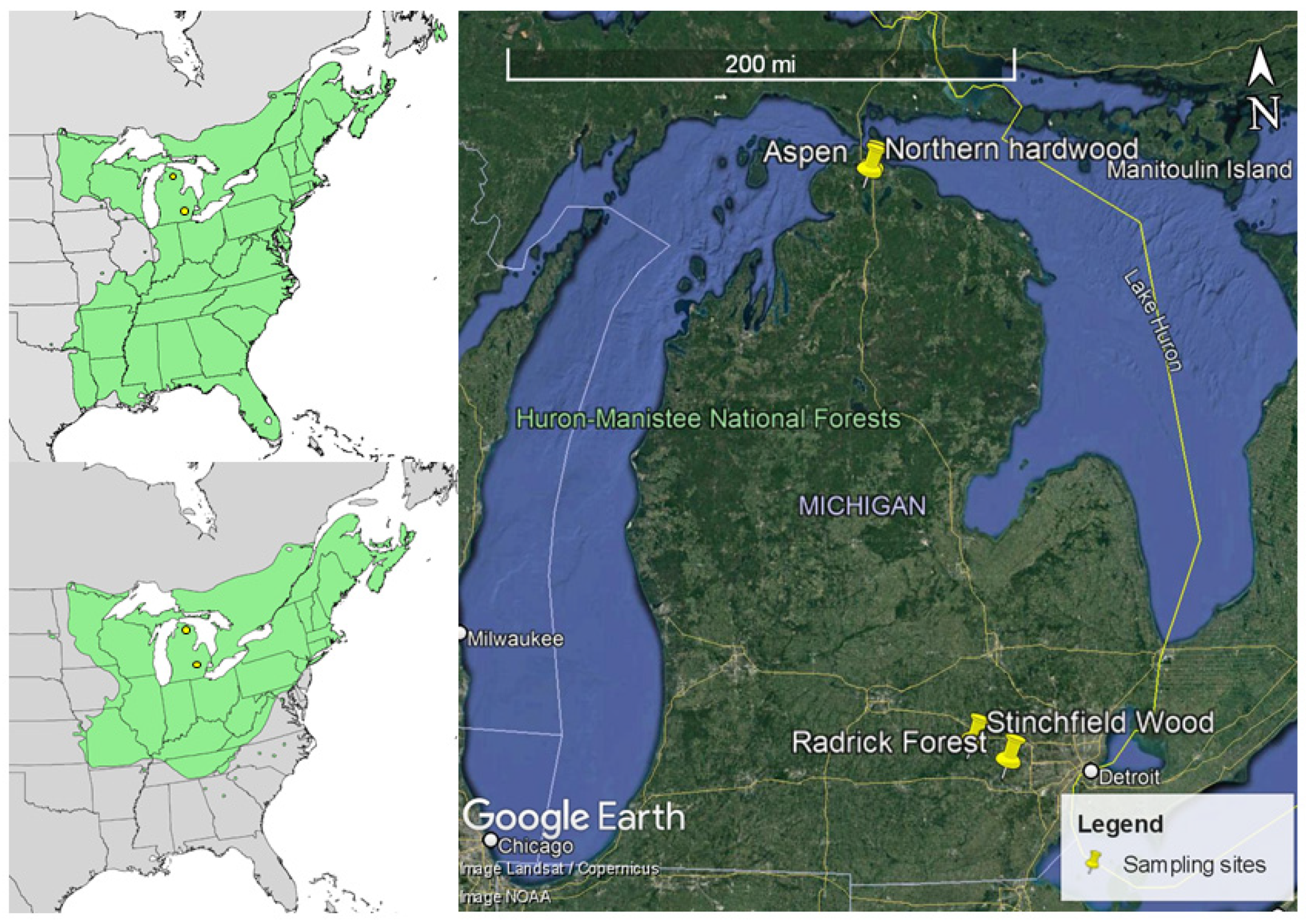Forests 13 00429 g001