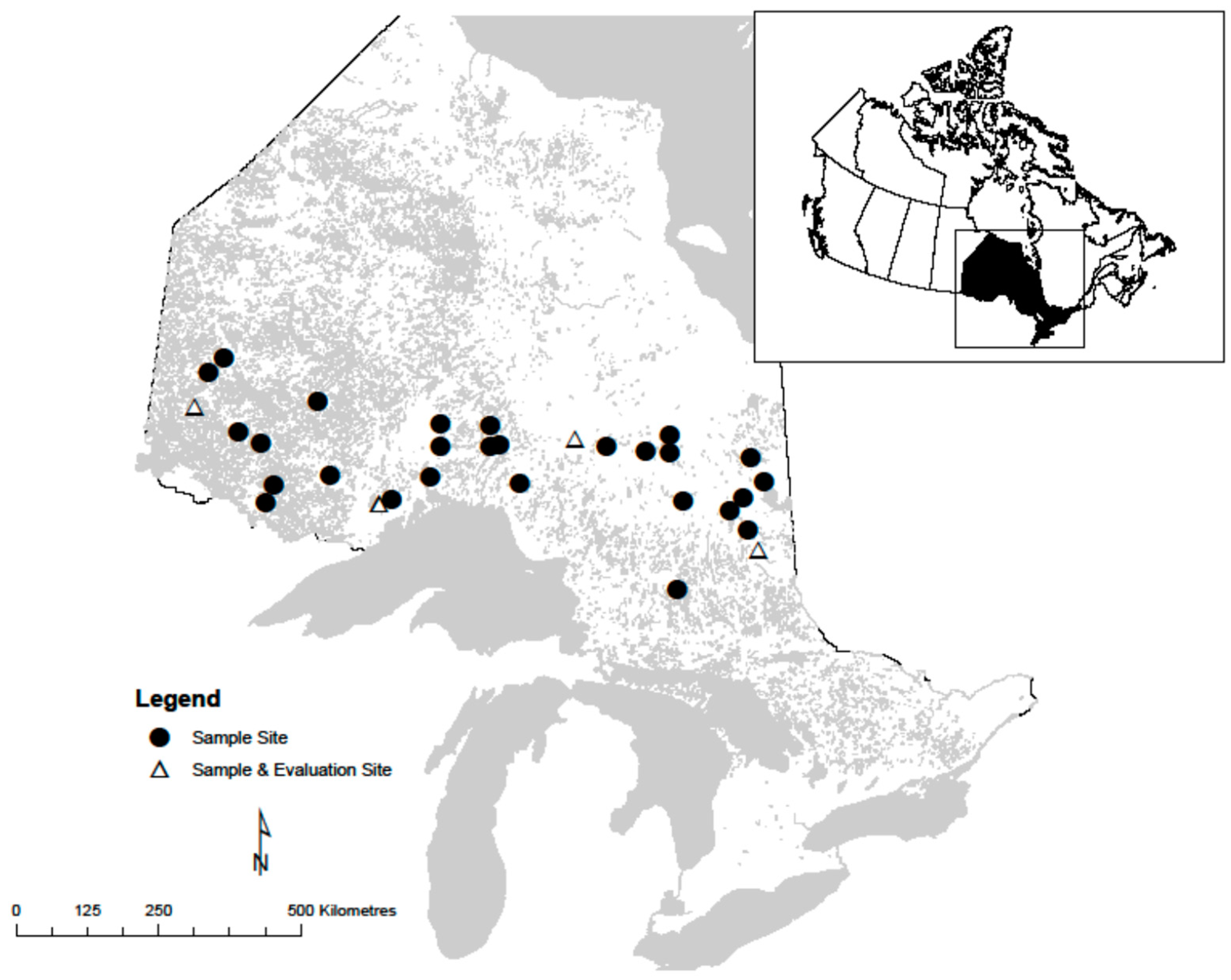 Forests 13 00430 g001