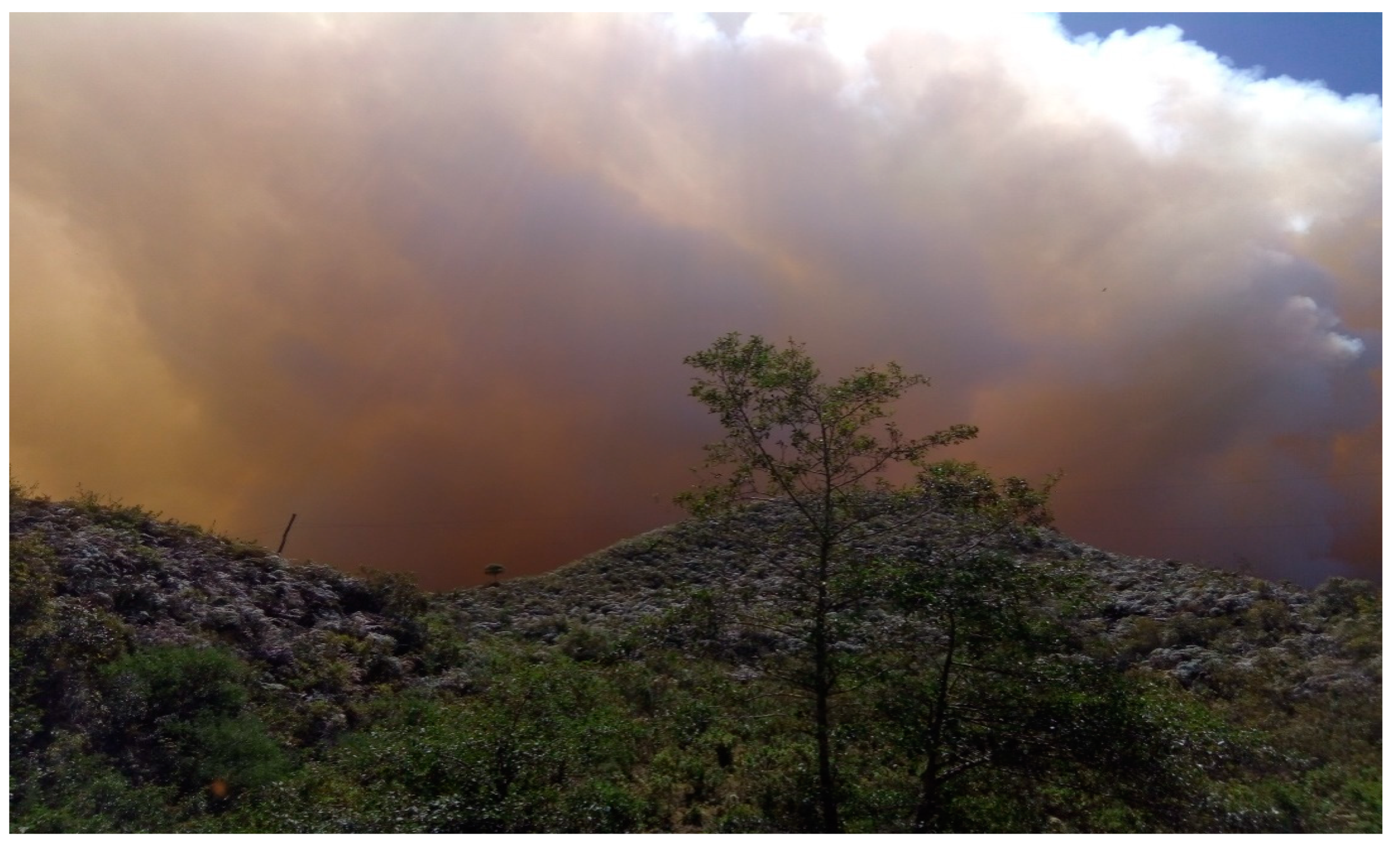 Forests 13 00436 g008