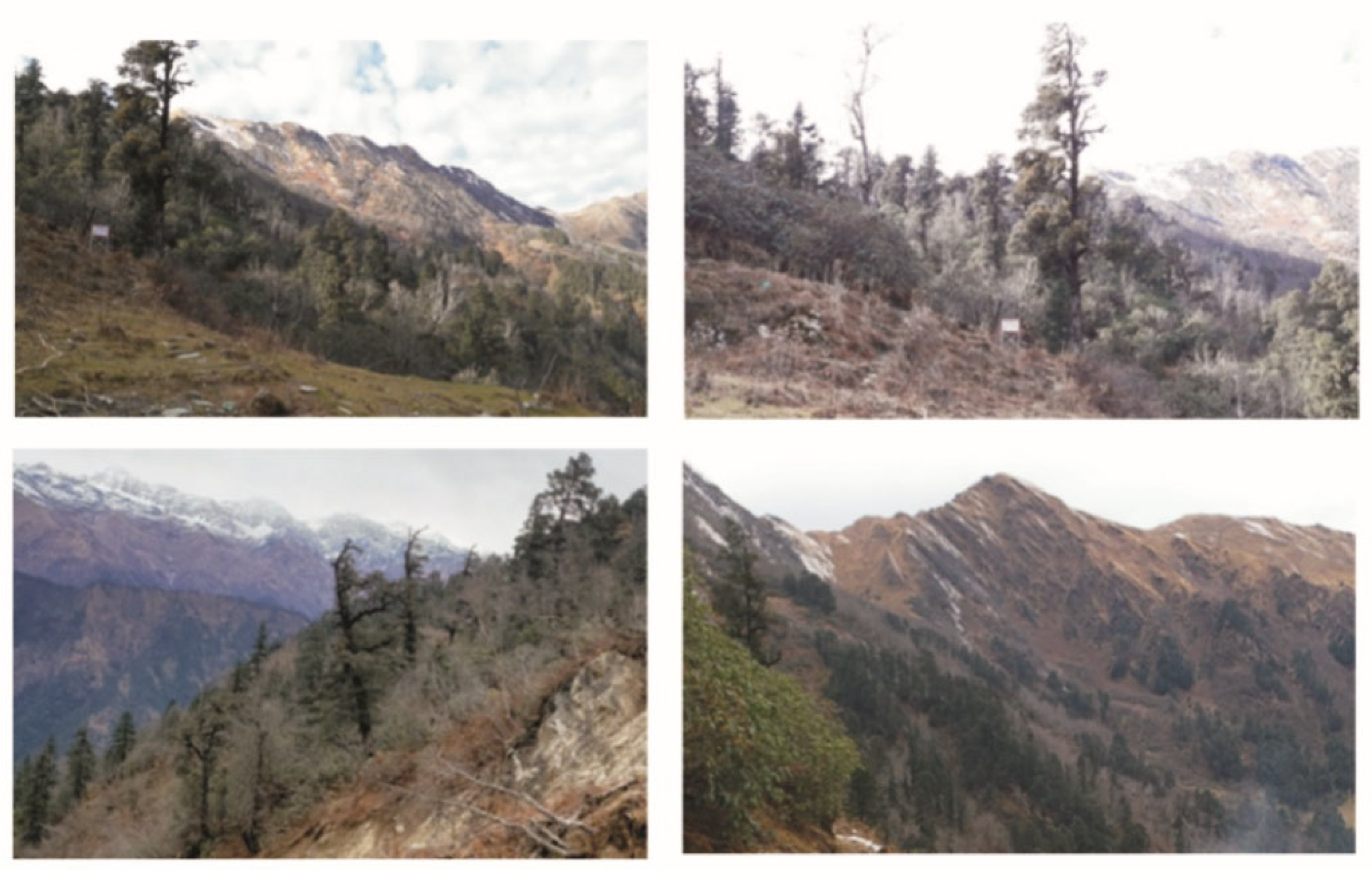 Forests 13 00437 g002