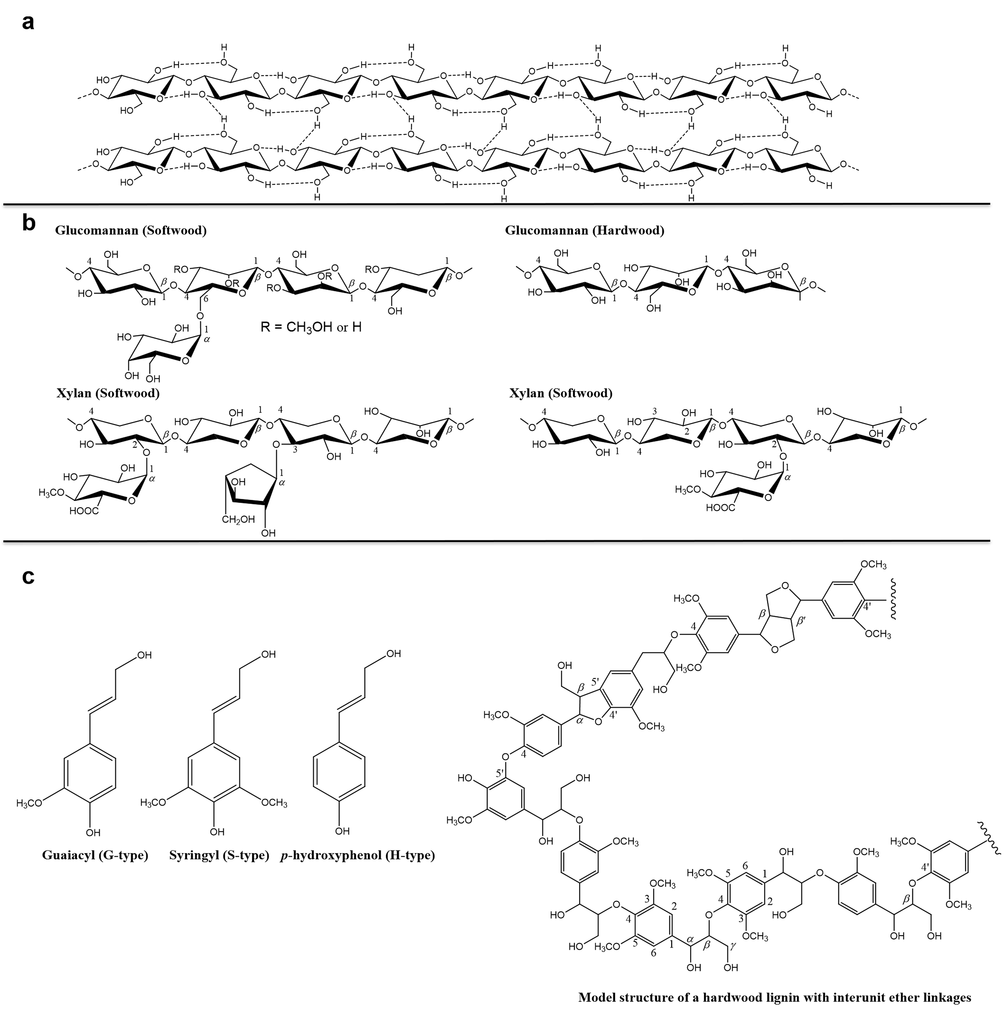 Forests 13 00439 g001