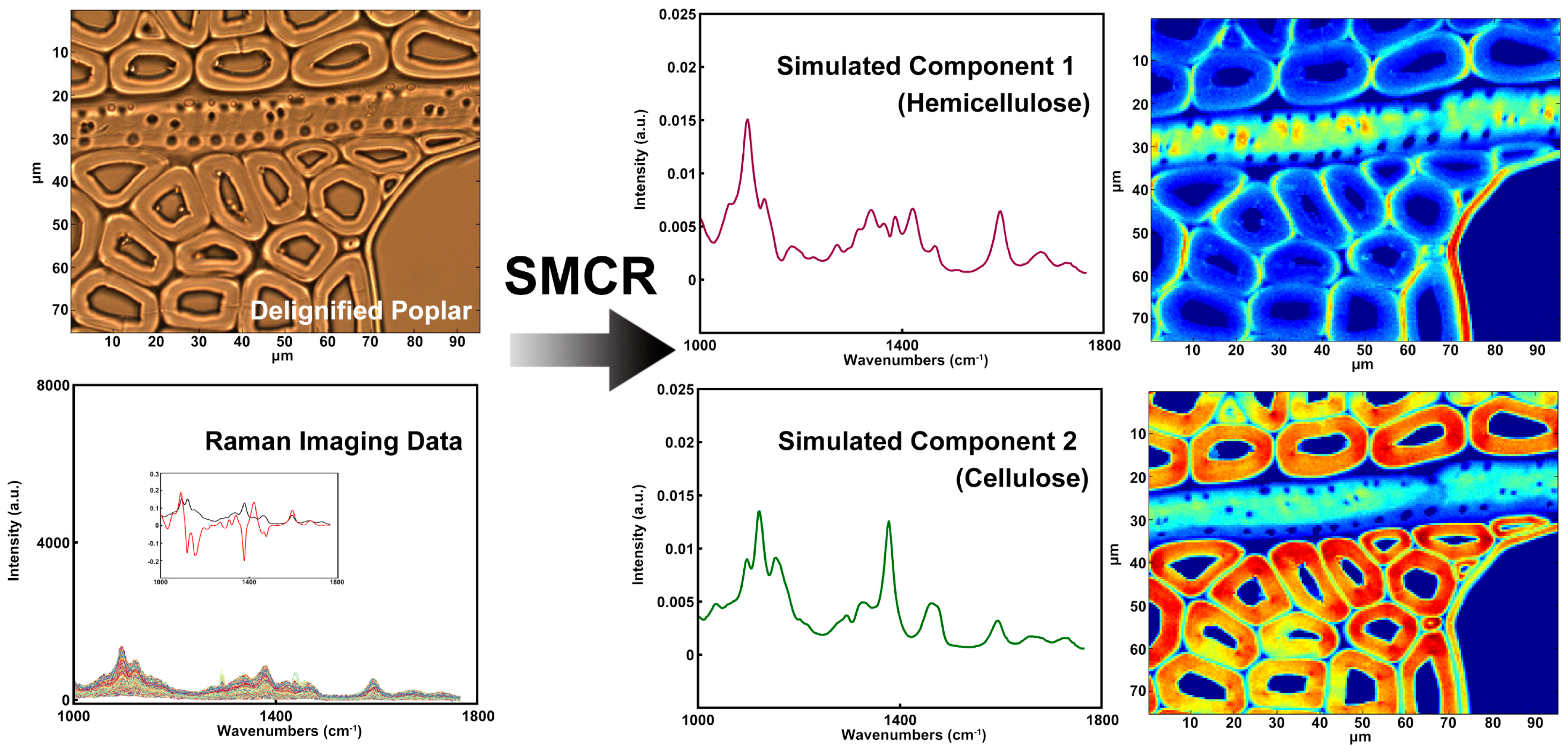 Forests 13 00439 g007