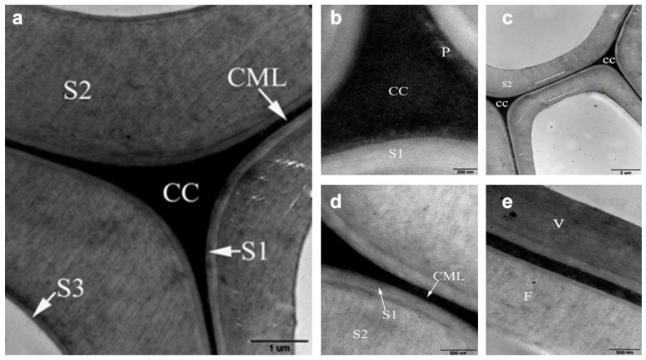 Forests 13 00439 g008