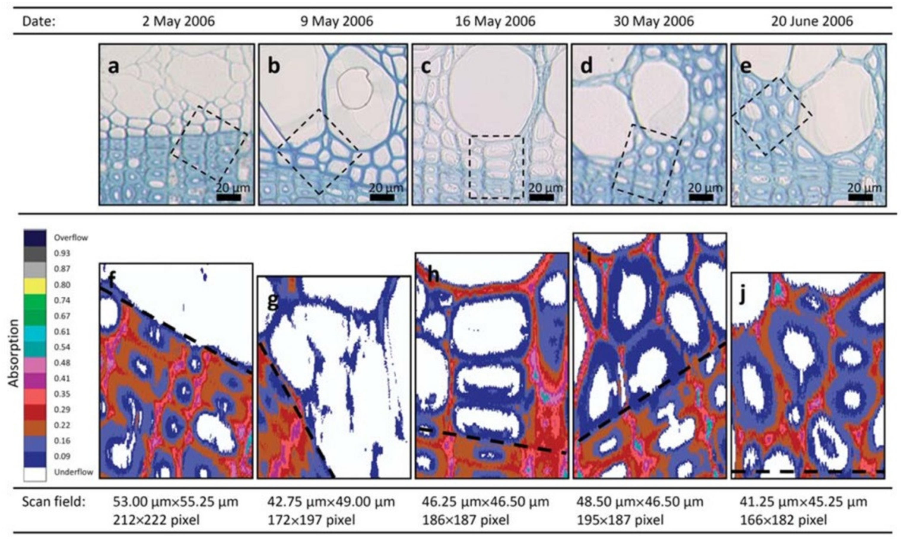 Forests 13 00439 g009