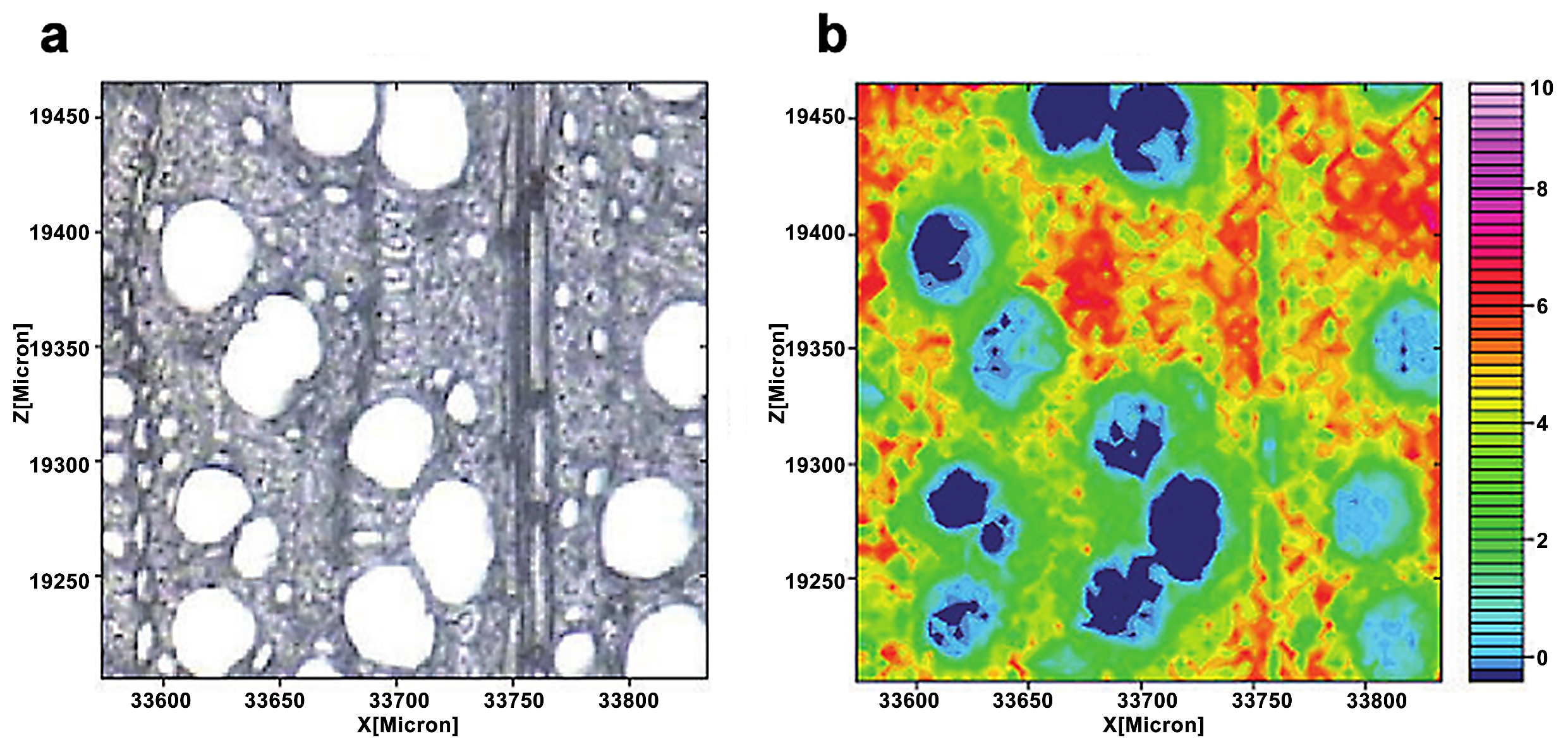 Forests 13 00439 g010