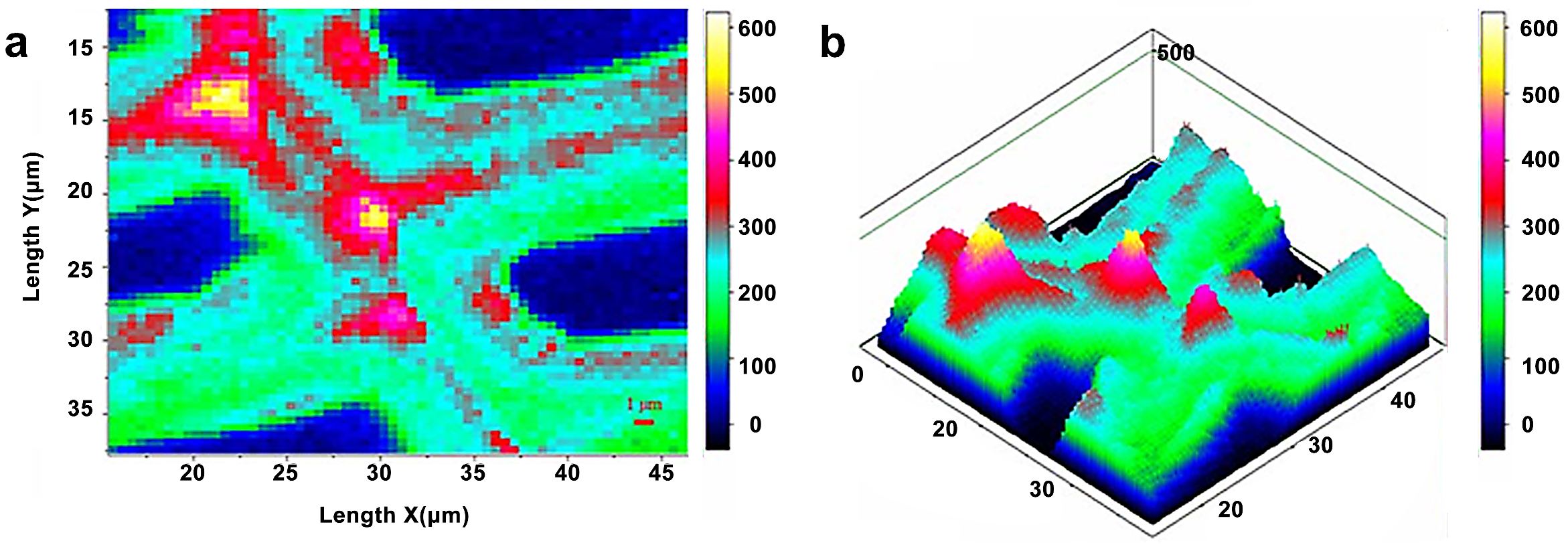 Forests 13 00439 g011
