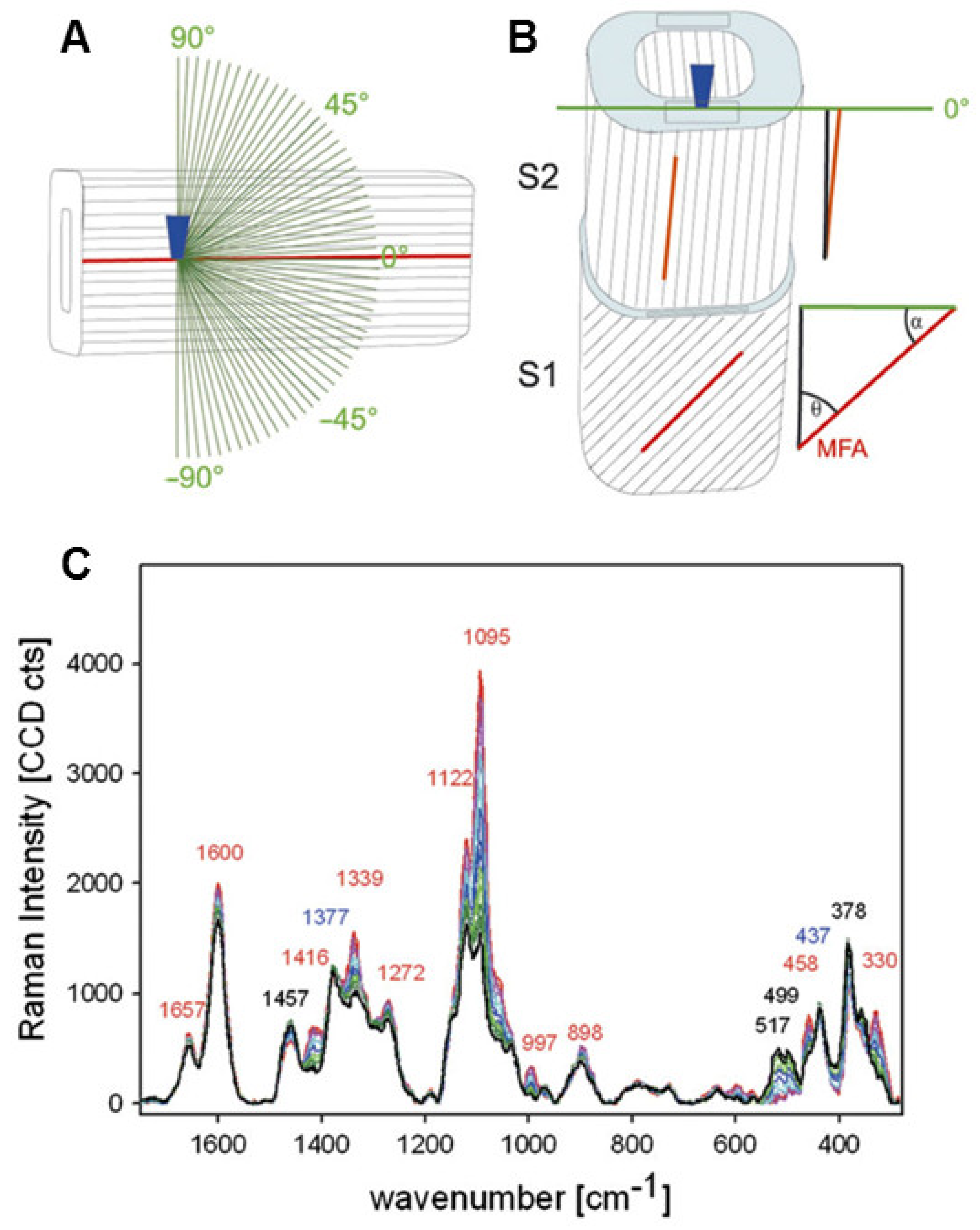 Forests 13 00439 g013