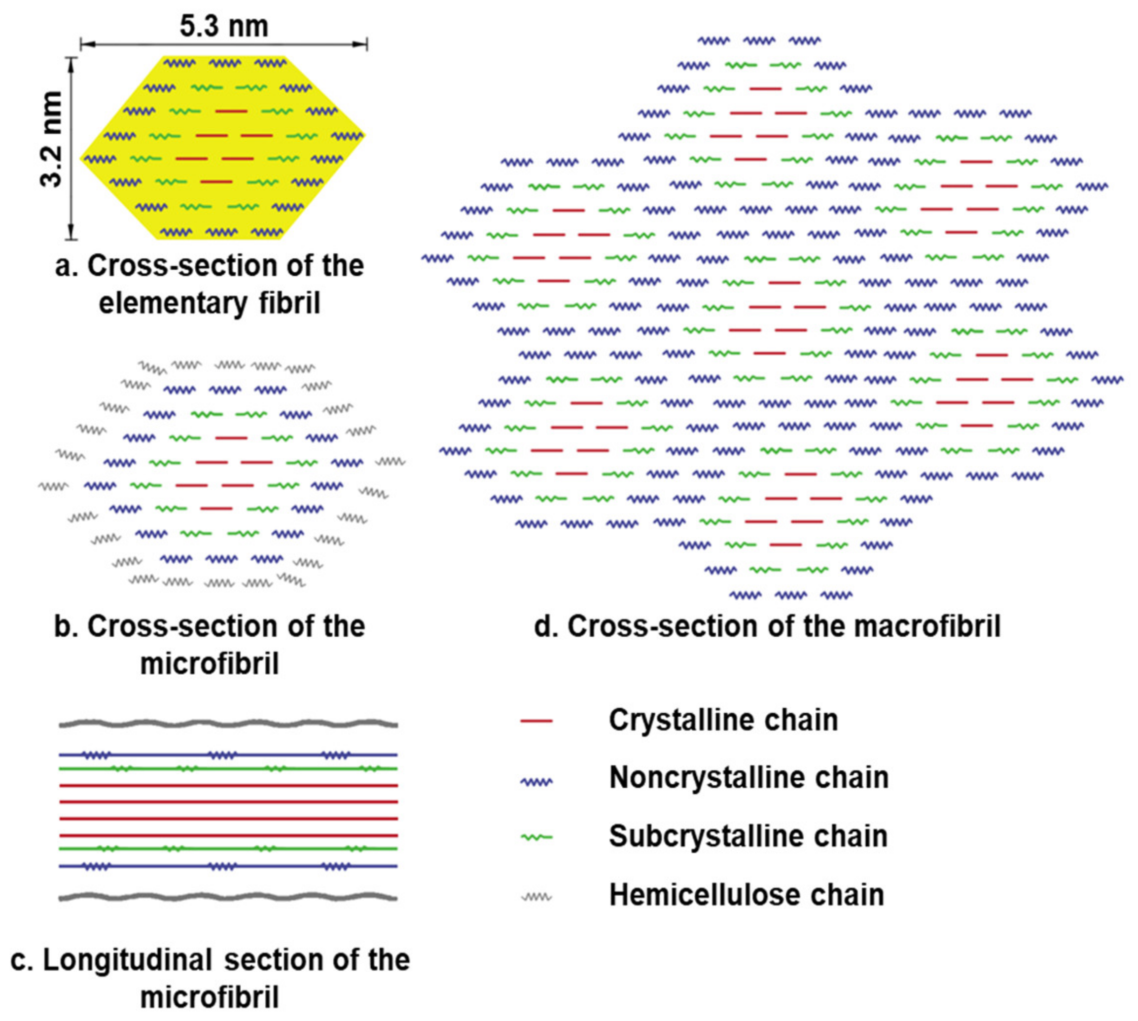 Forests 13 00439 g015
