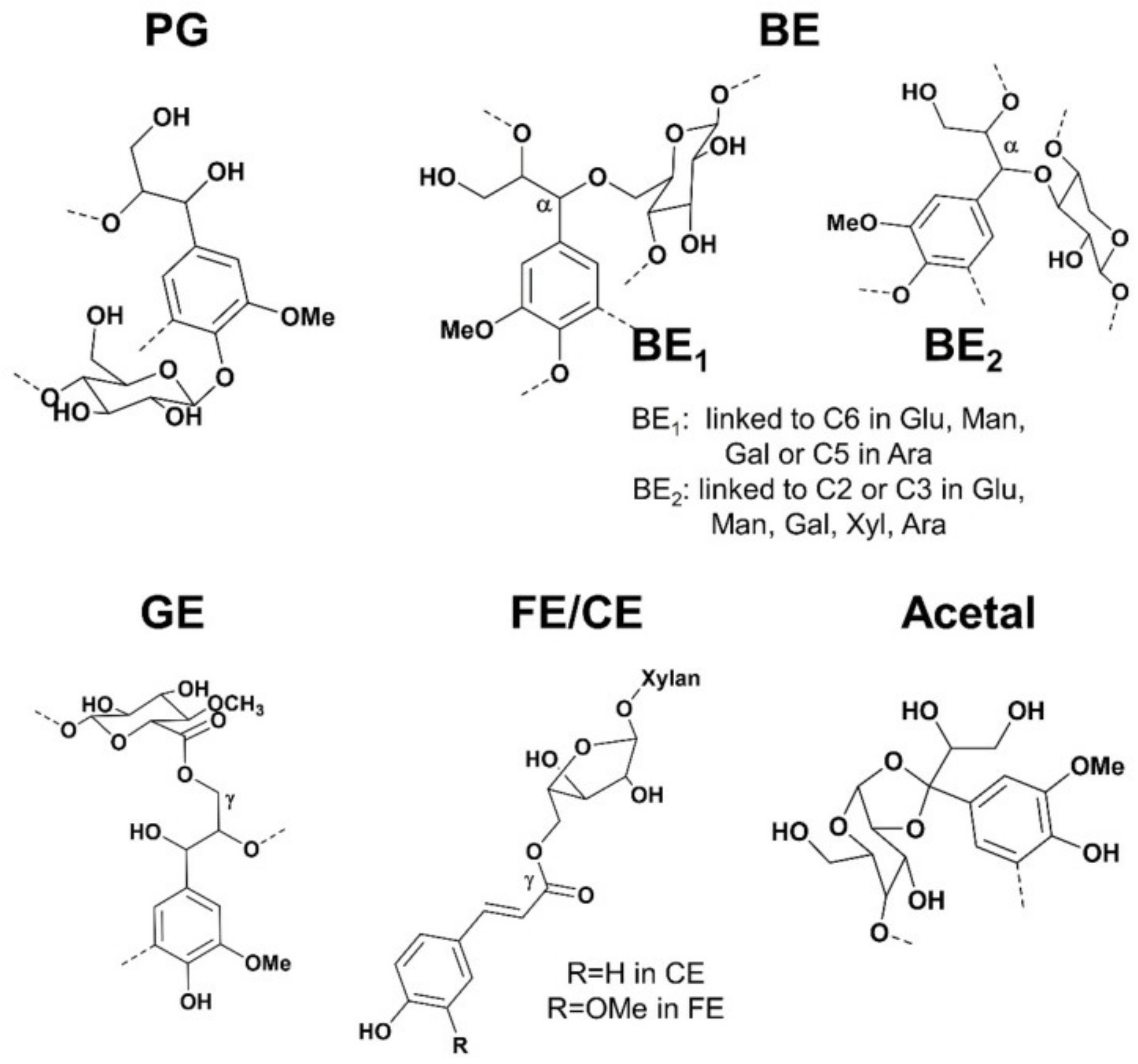 Forests 13 00439 g016