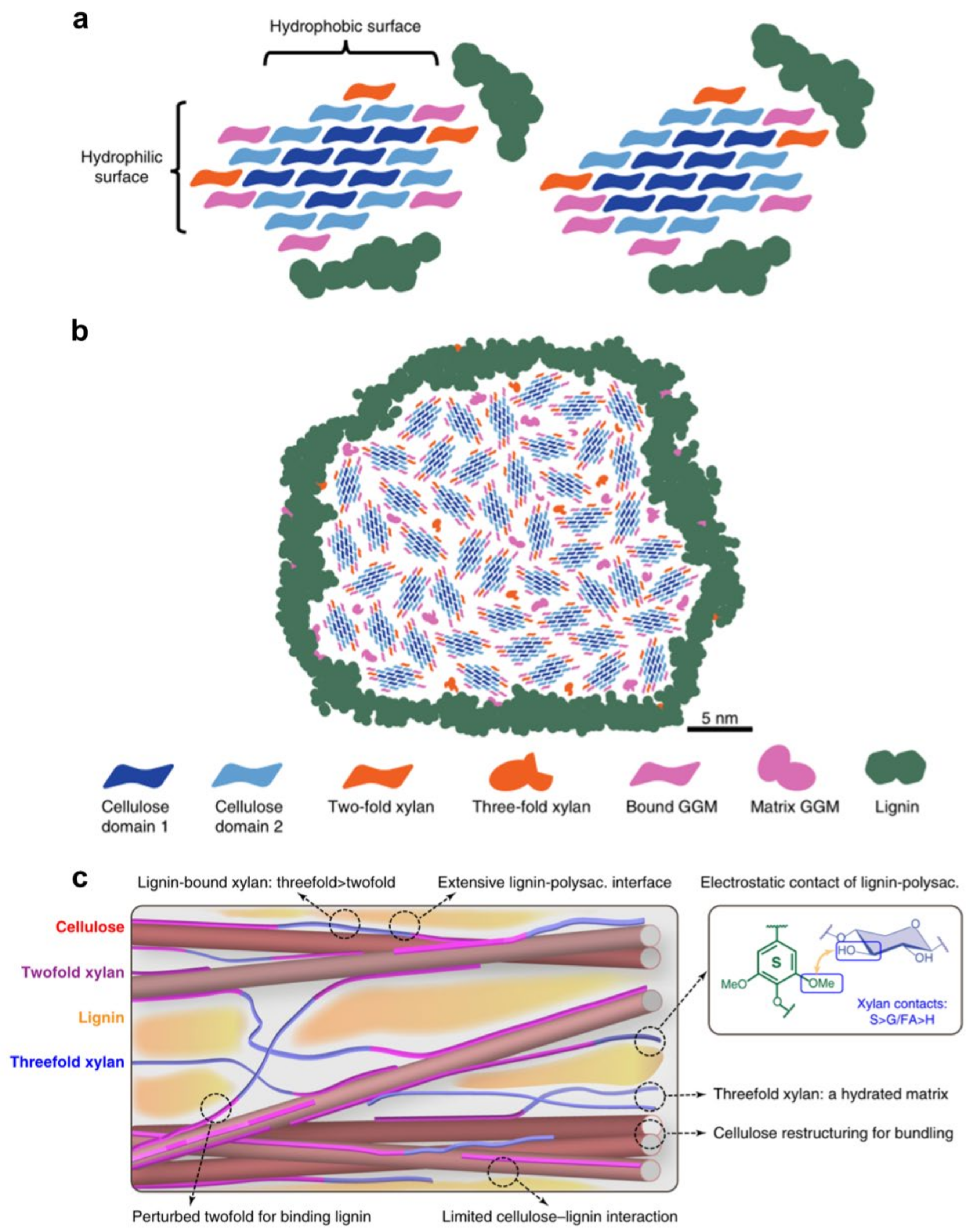 Forests 13 00439 g017