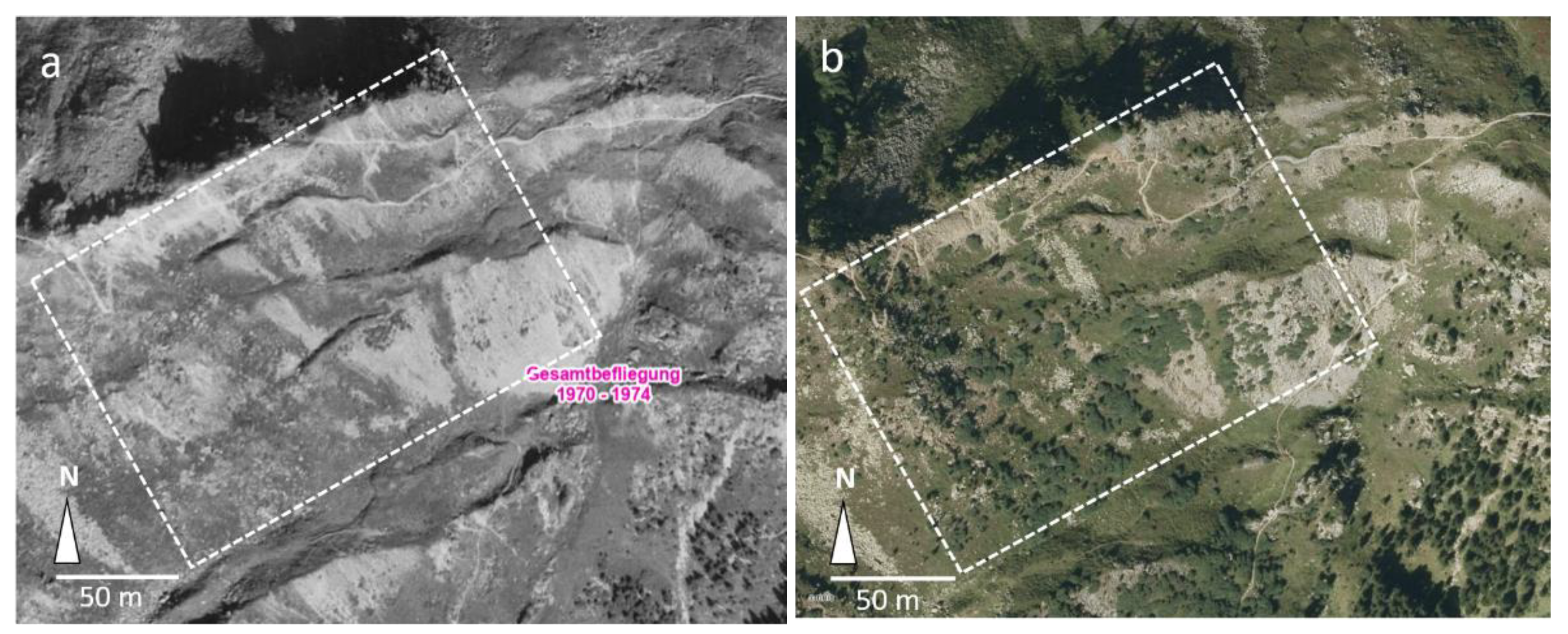 Forests 13 00440 g006