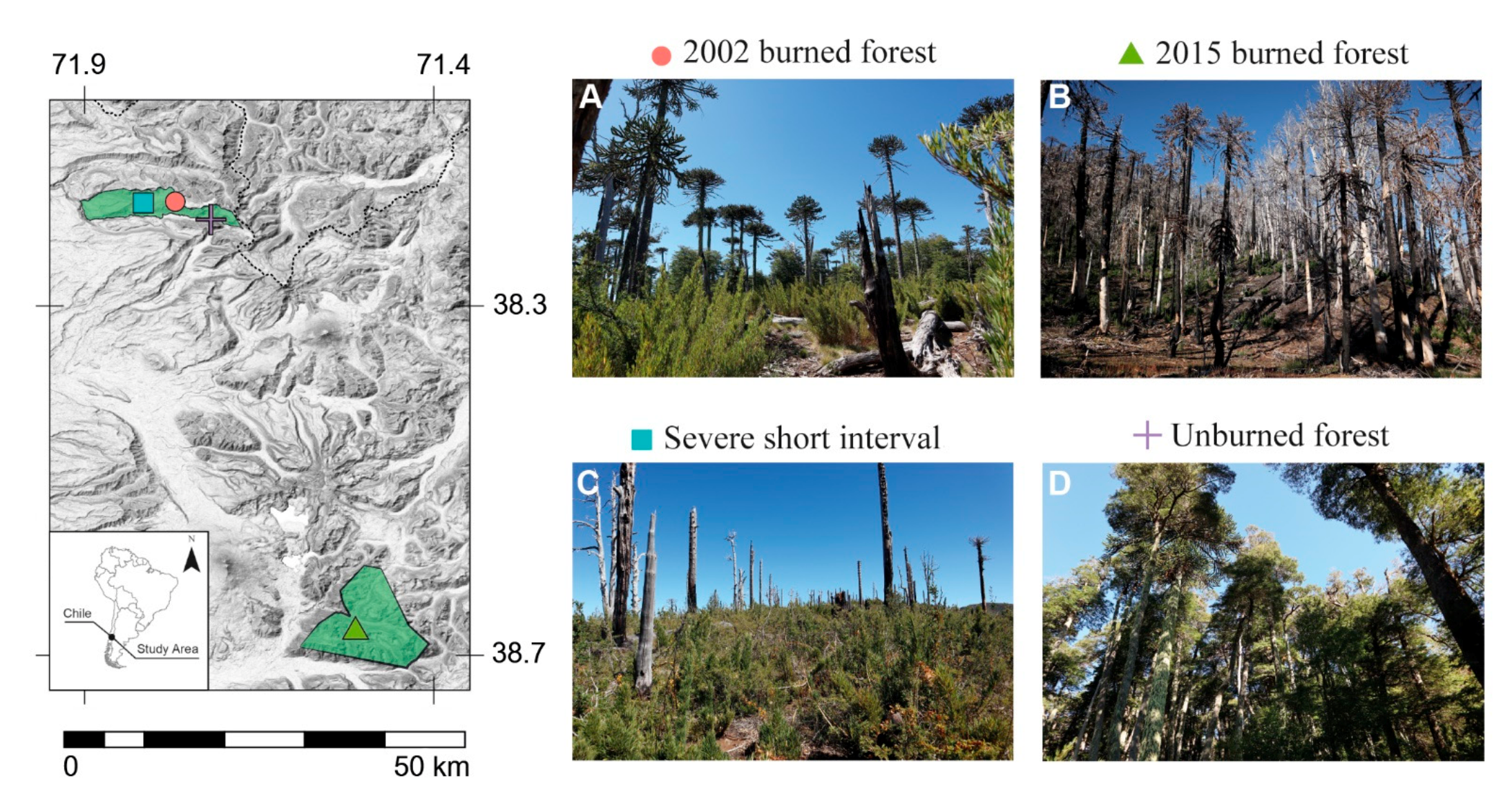 Forests 13 00441 g001