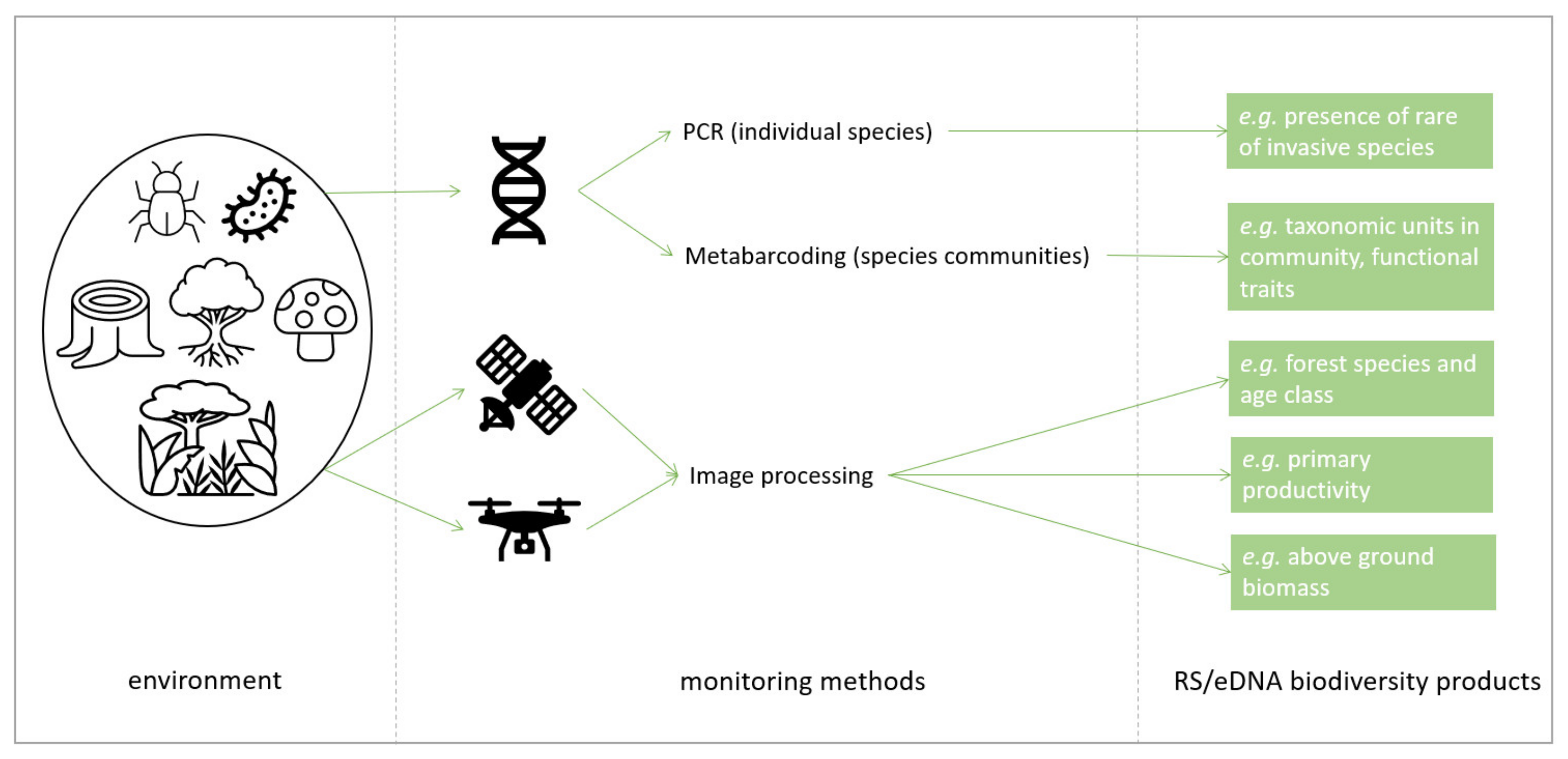 Forests 13 00445 g003