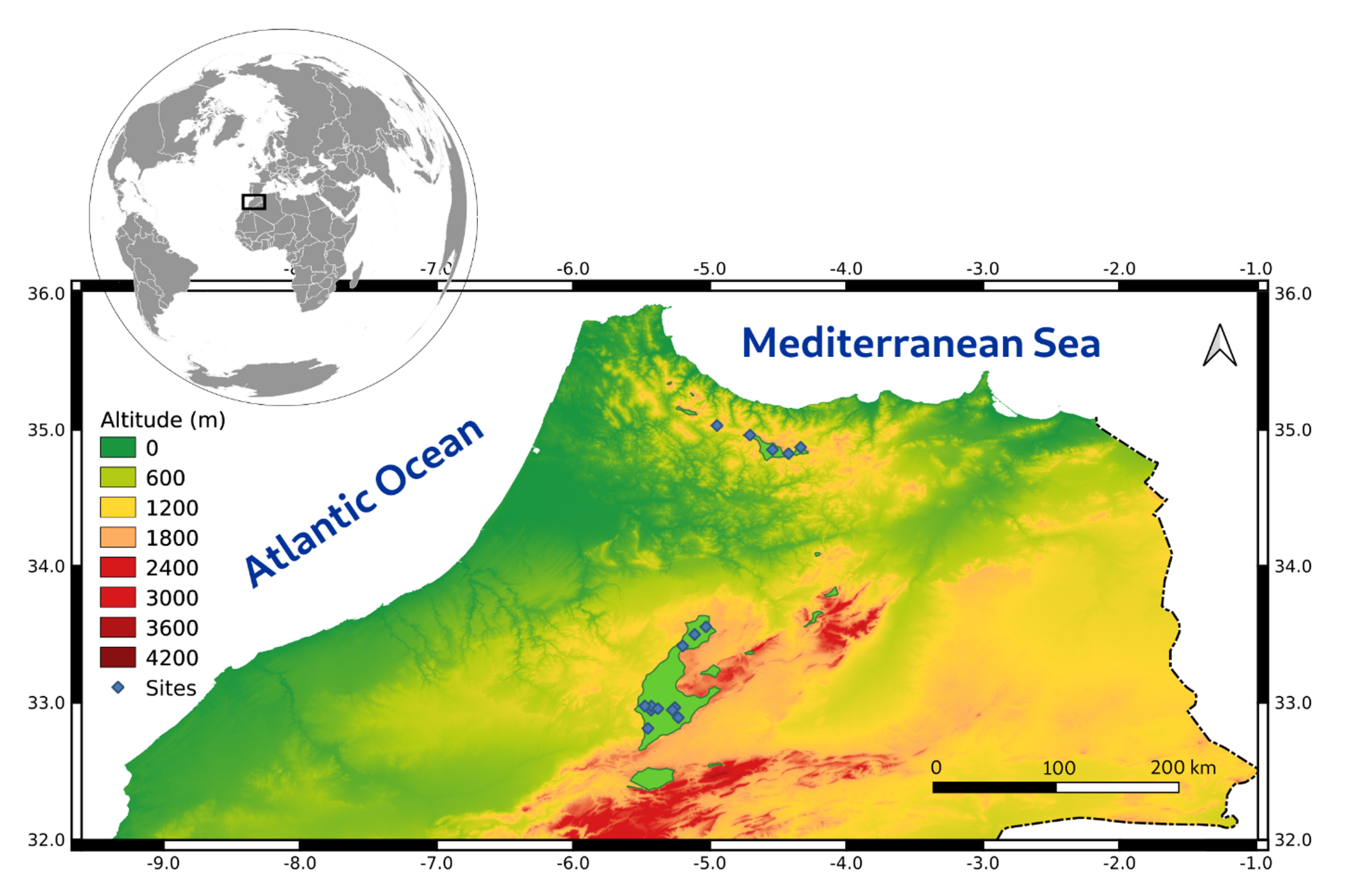 Forests 13 00446 g001