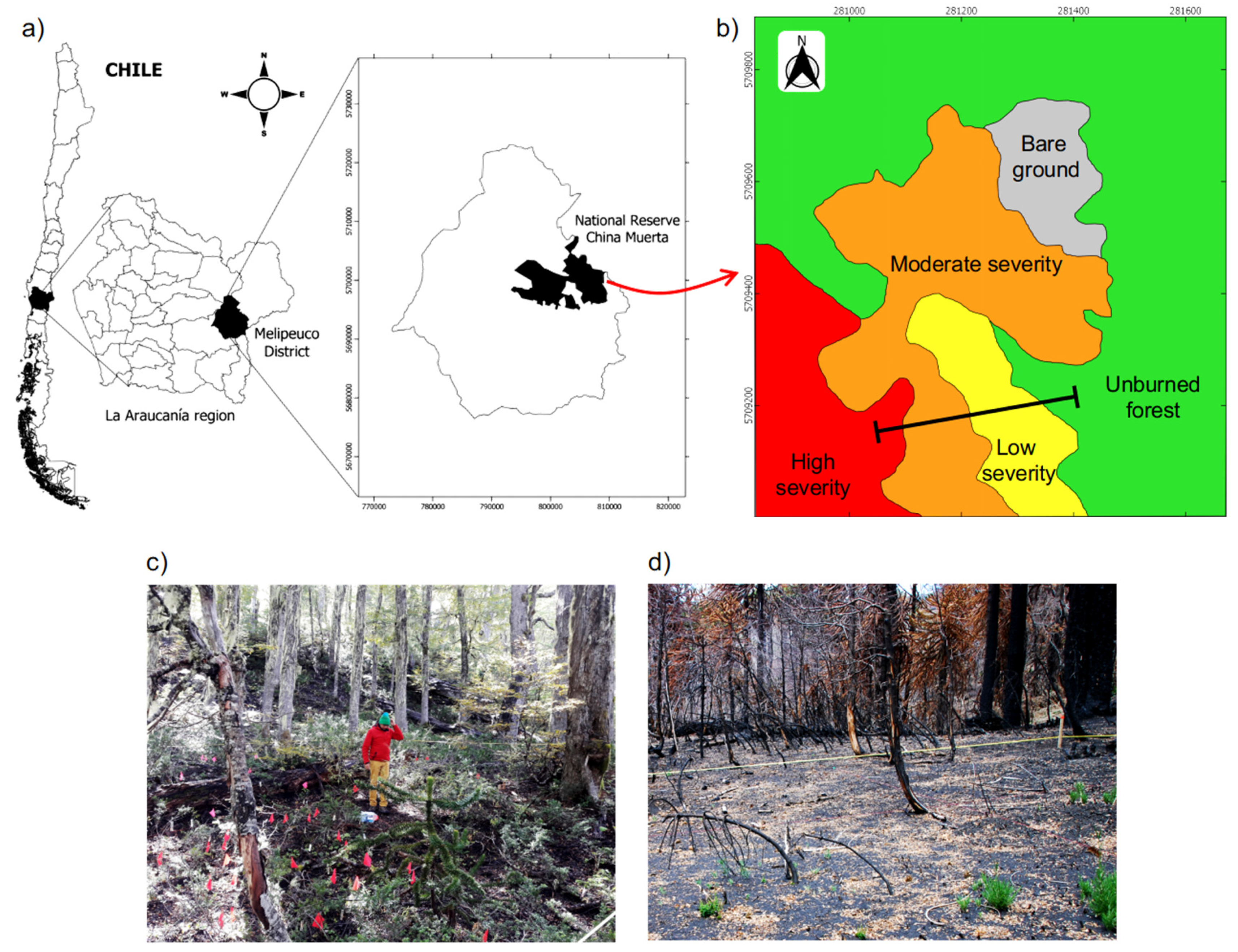 Forests 13 00448 g001