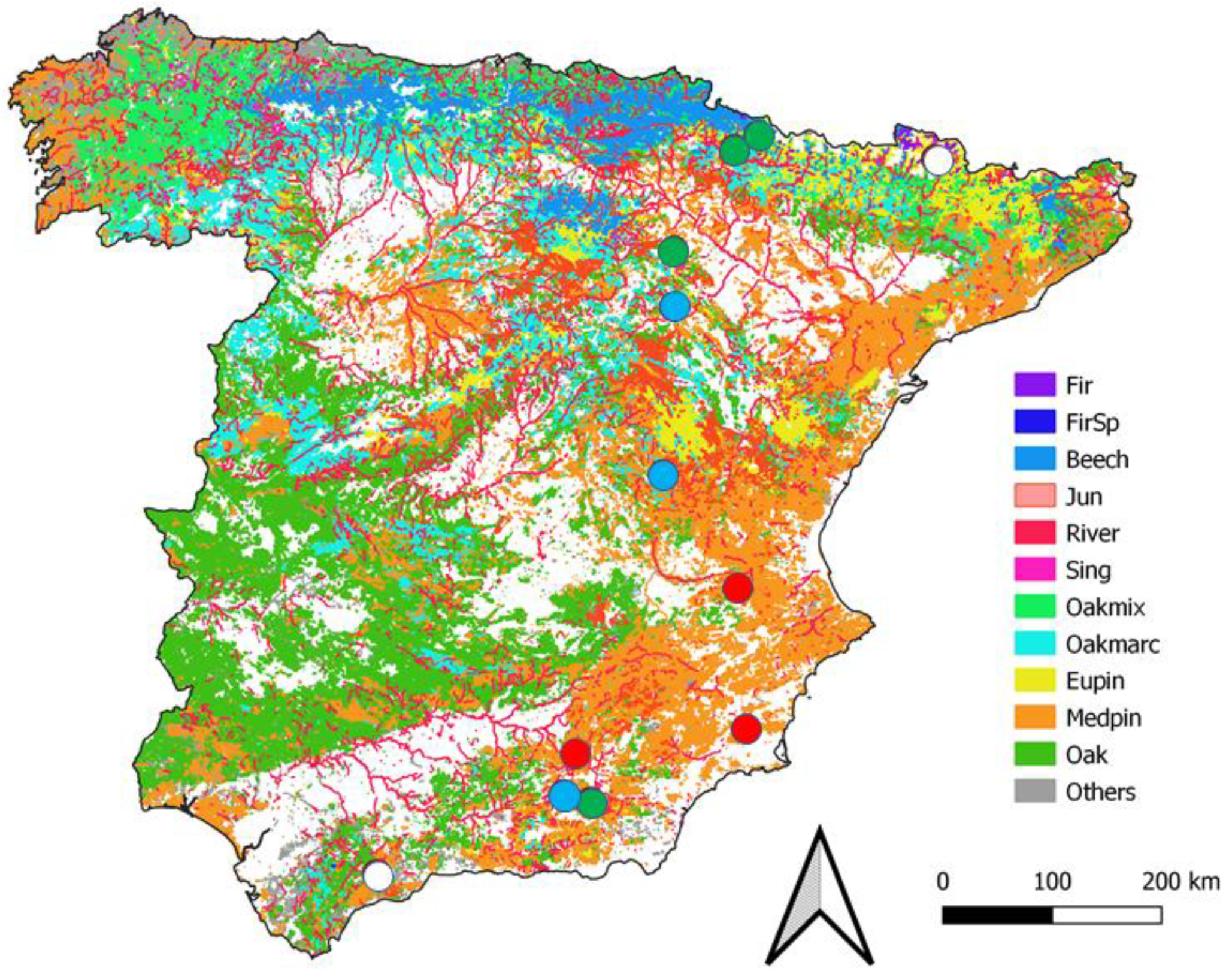 Forests 13 00450 g001