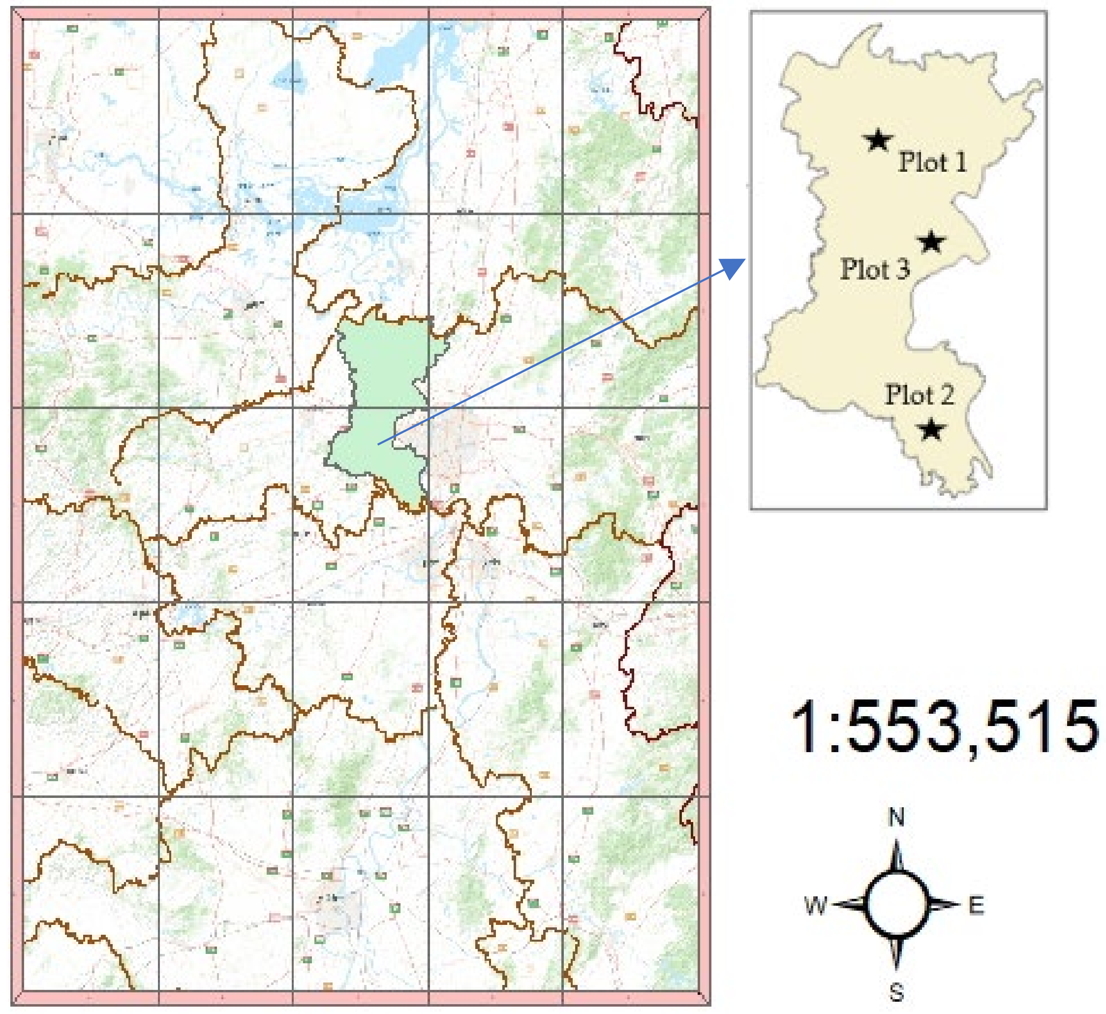 Forests 13 00463 g001 Forests 13 00463 g001