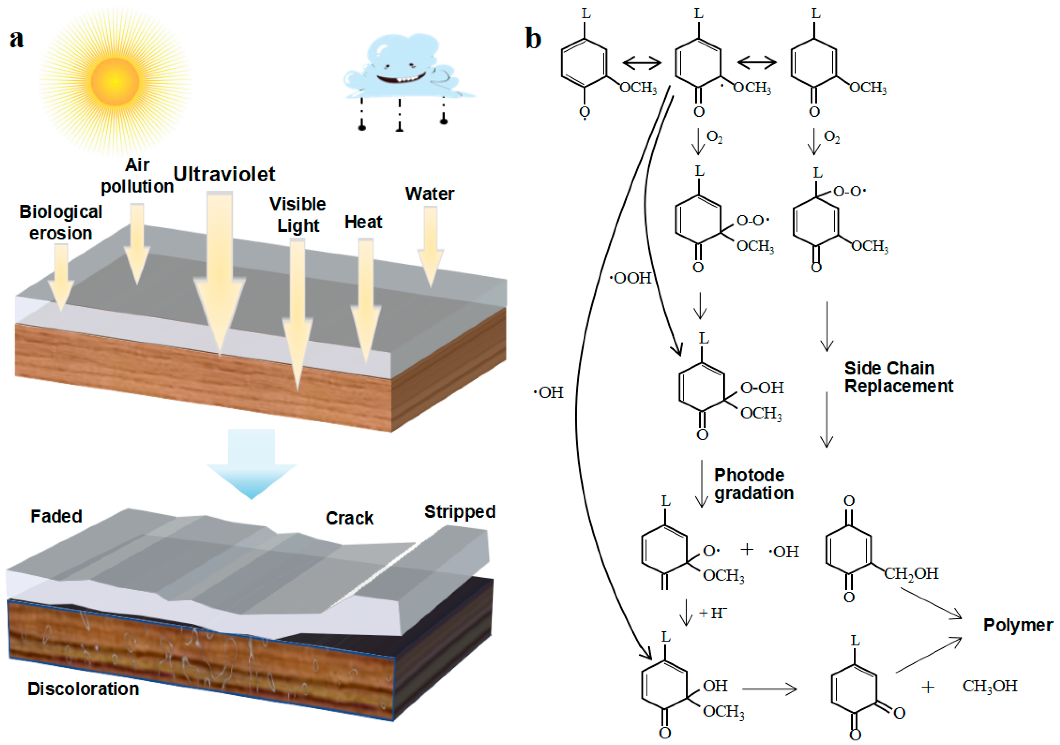 Forests 13 00467 g001
