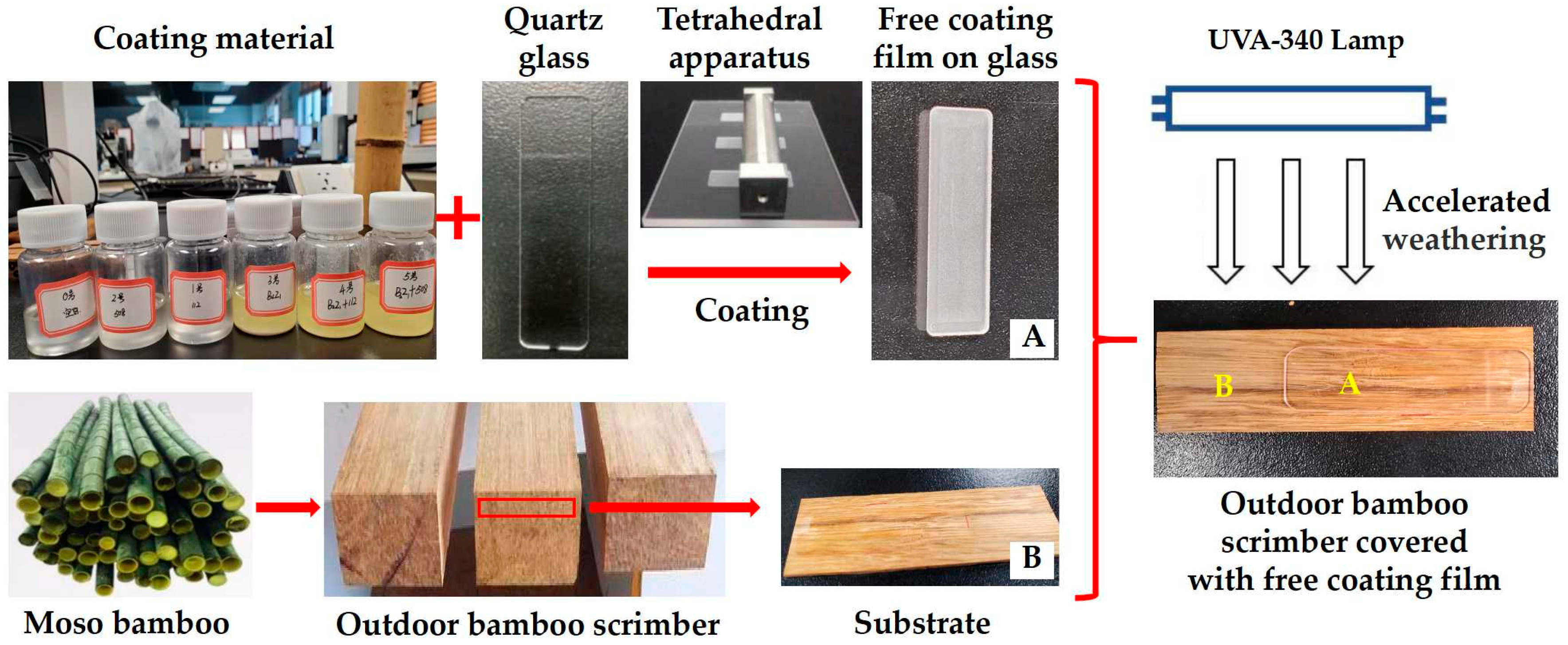Forests 13 00467 g002