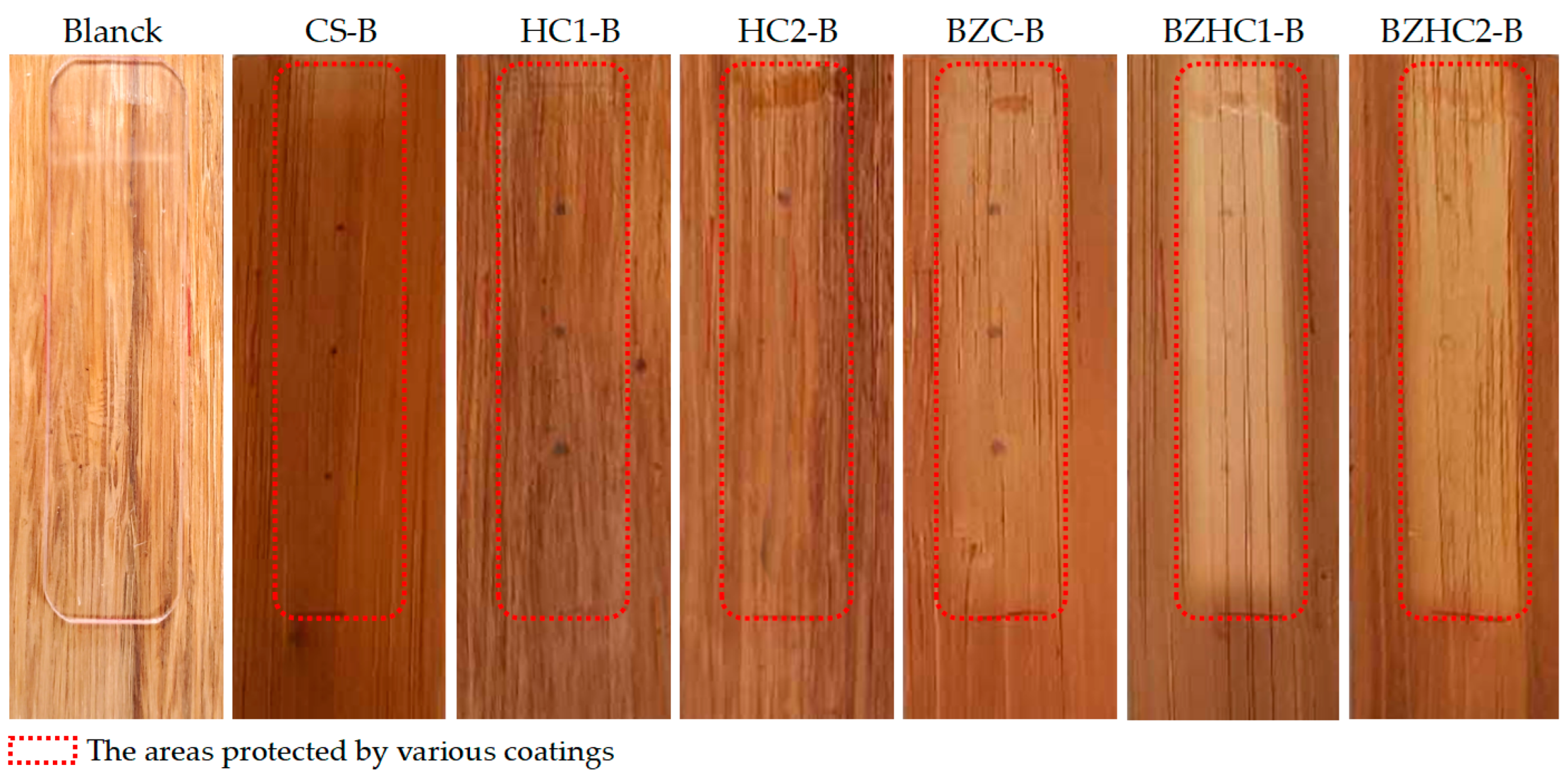 Forests 13 00467 g004
