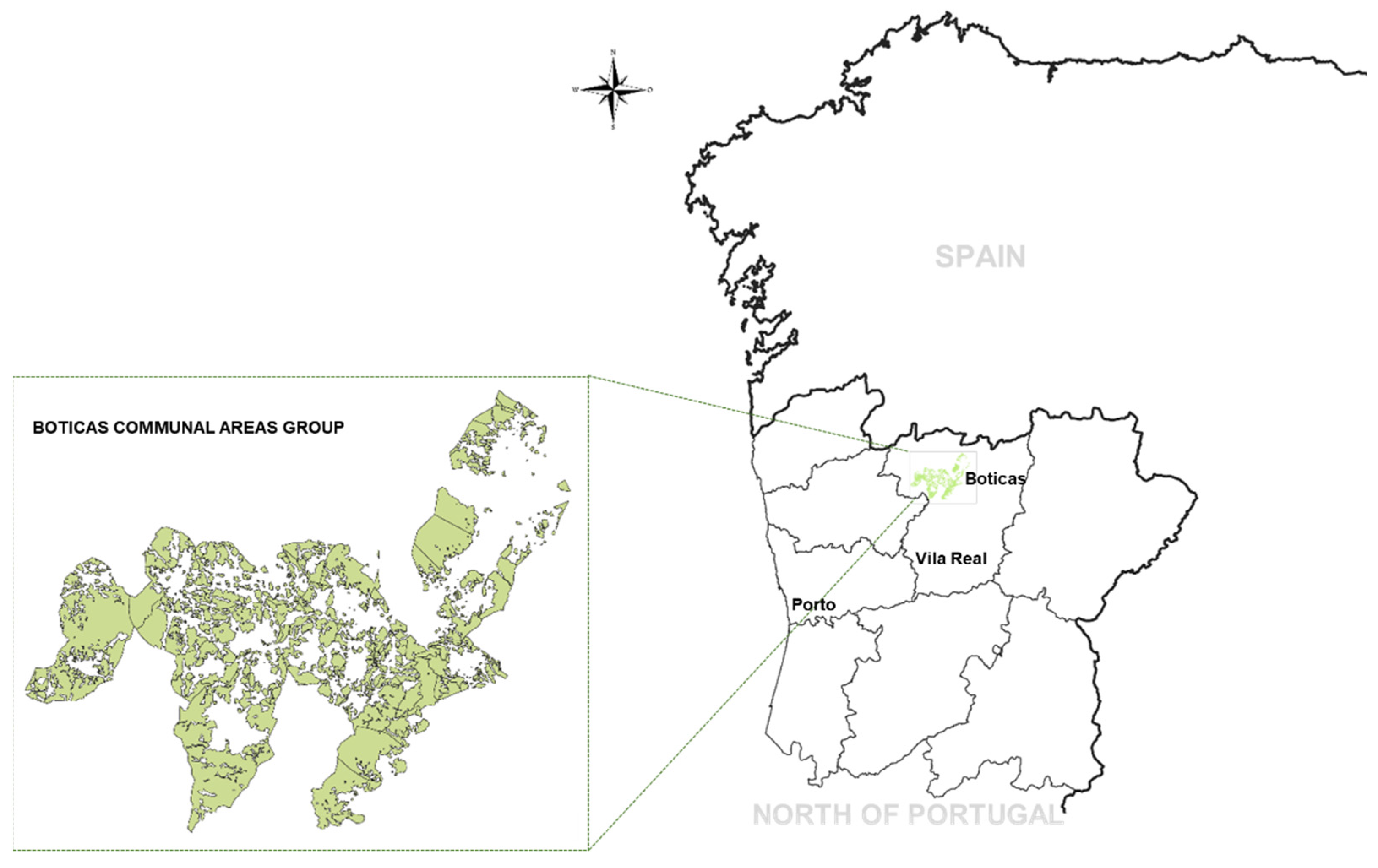 Forests 13 00471 g001